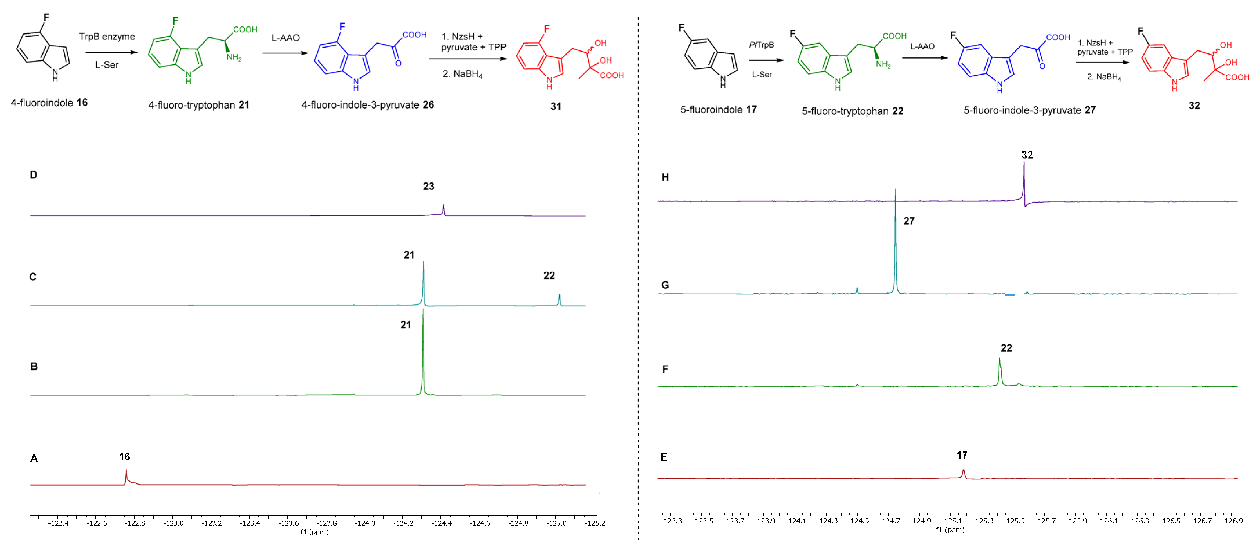 Molecules 28 00354 g003