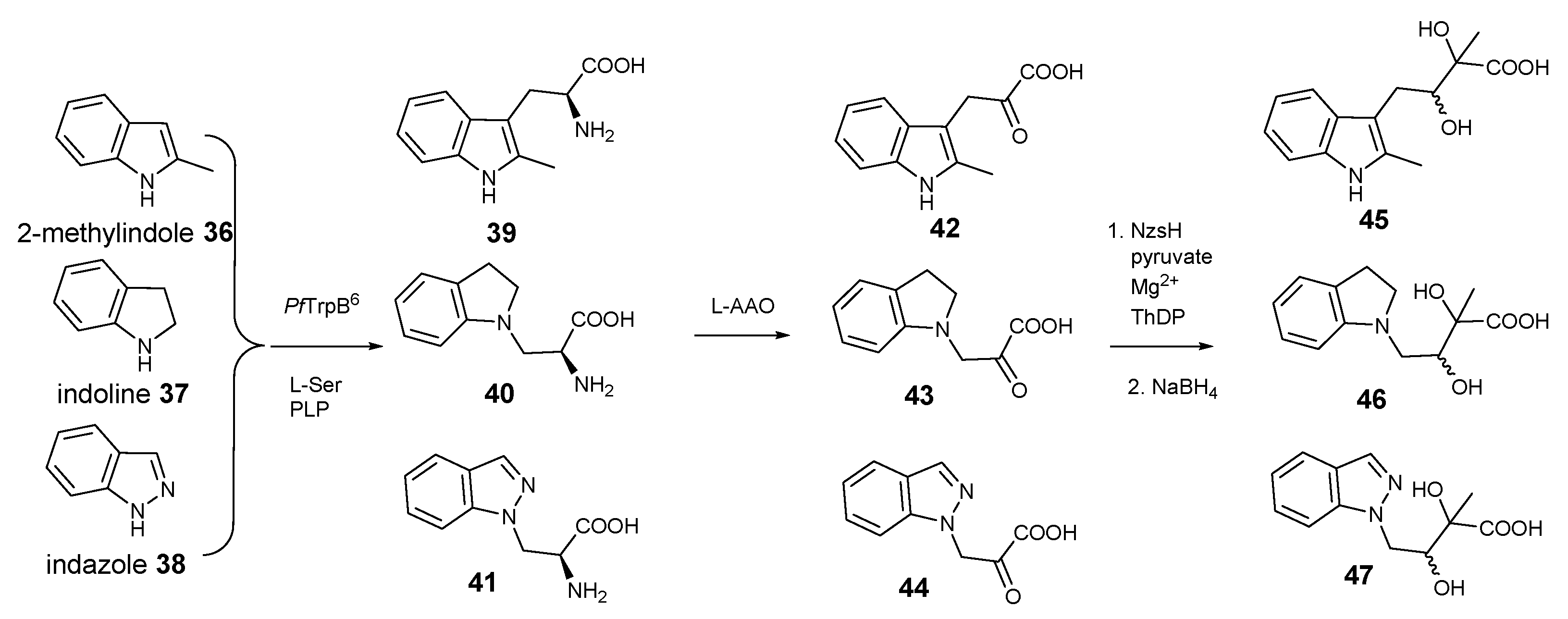 Molecules 28 00354 g004