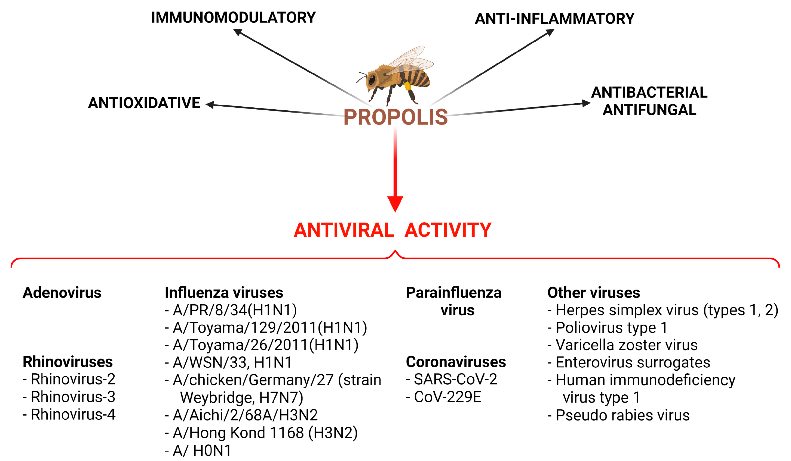 Molecules 28 00359 g001