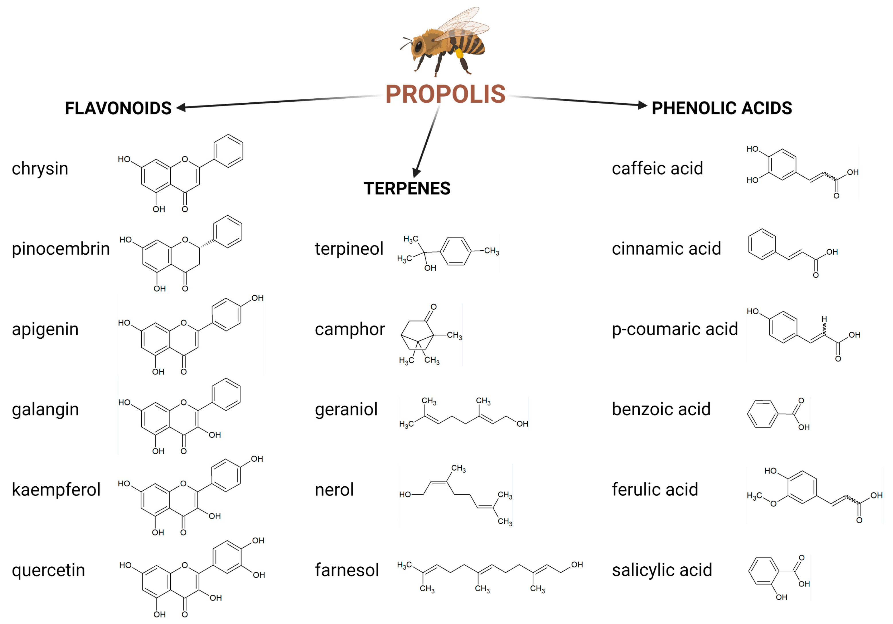 Molecules 28 00359 g002