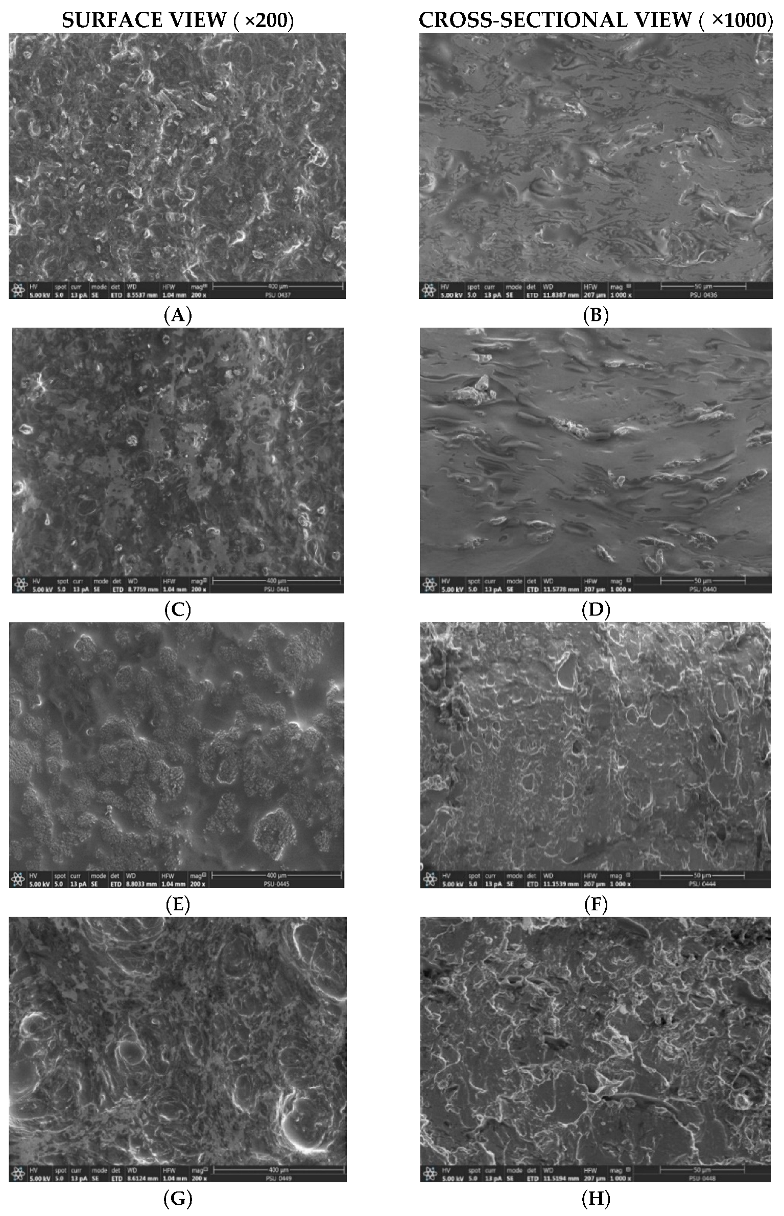 Molecules 28 00361 g006
