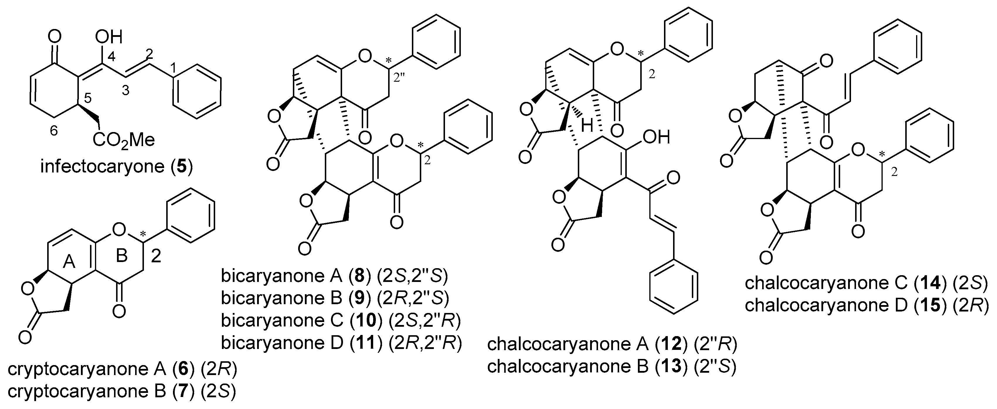 Molecules 28 00365 g003