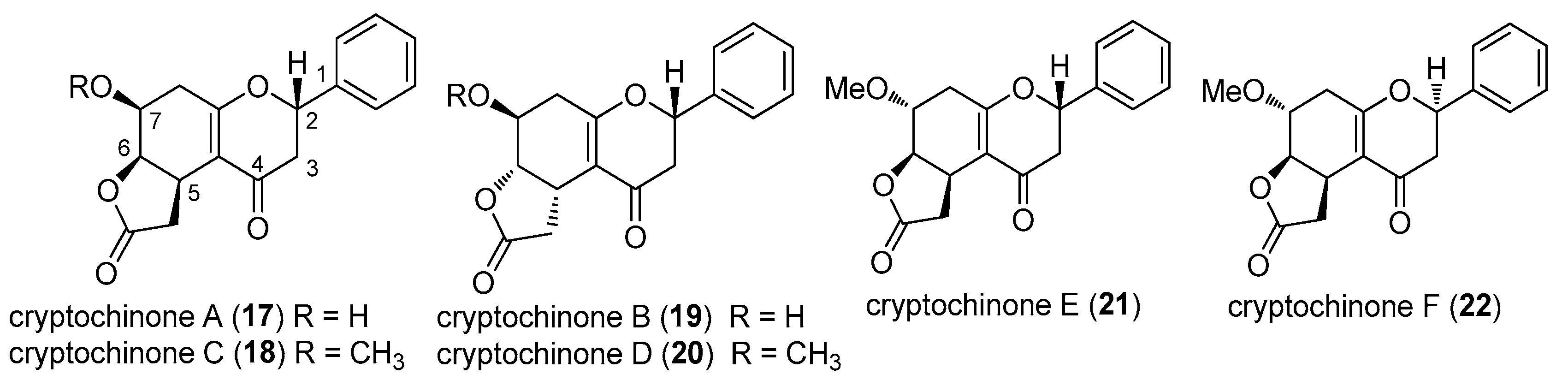 Molecules 28 00365 g005