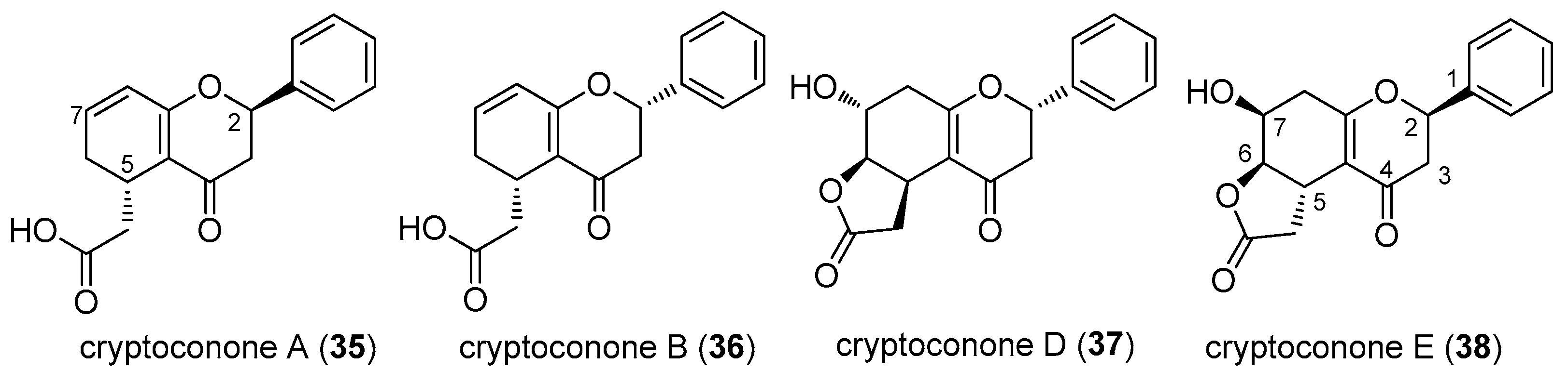 Molecules 28 00365 g008