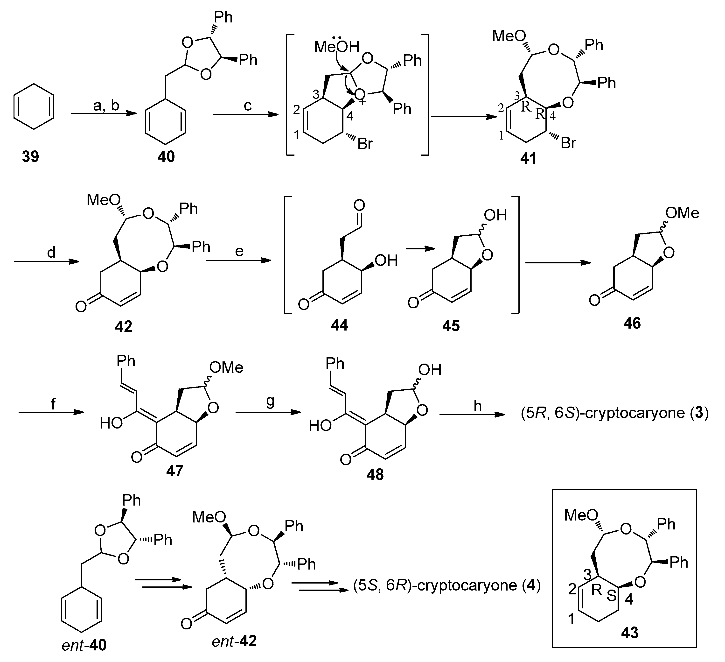 Molecules 28 00365 sch002