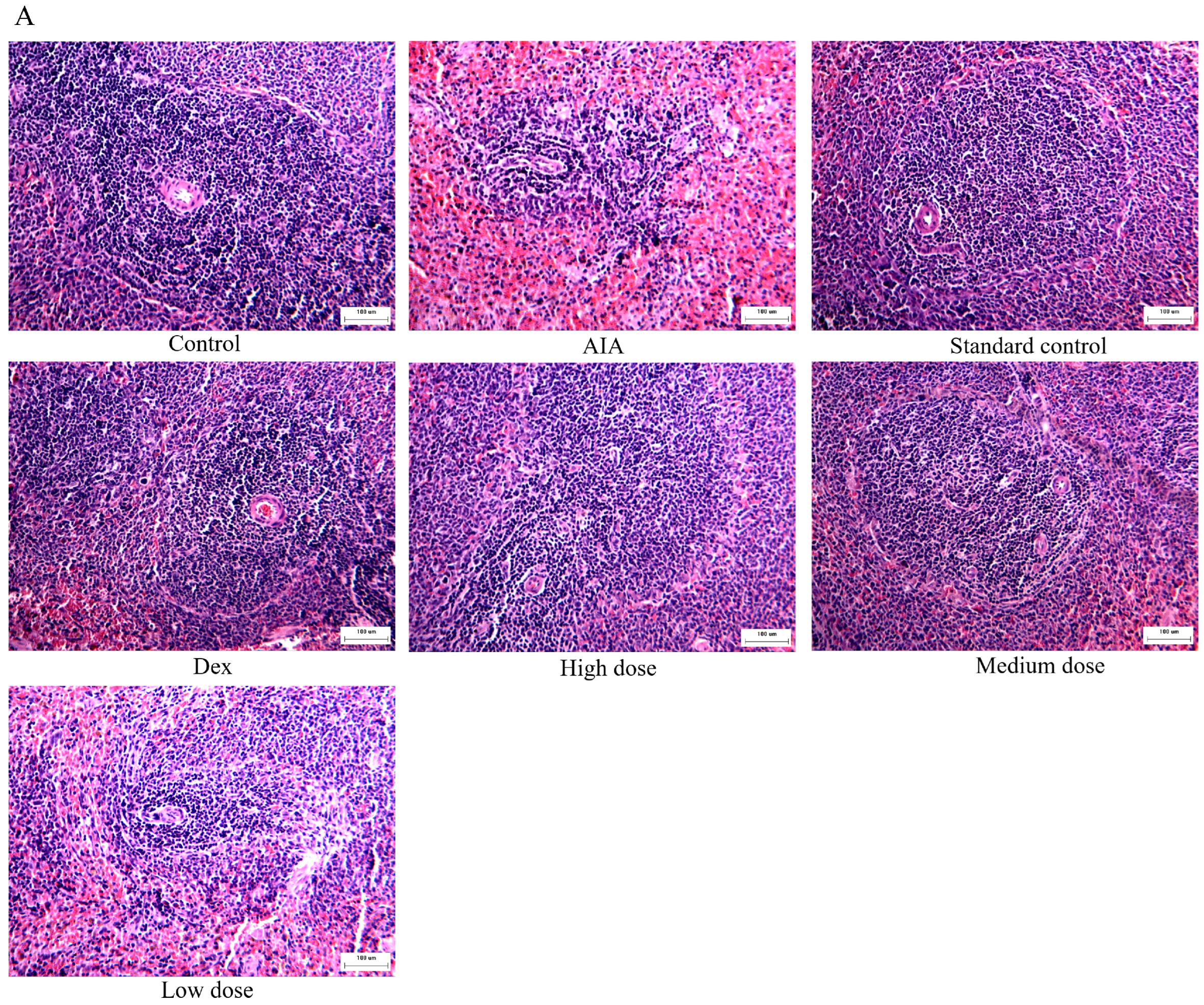 Molecules 28 00366 g004a