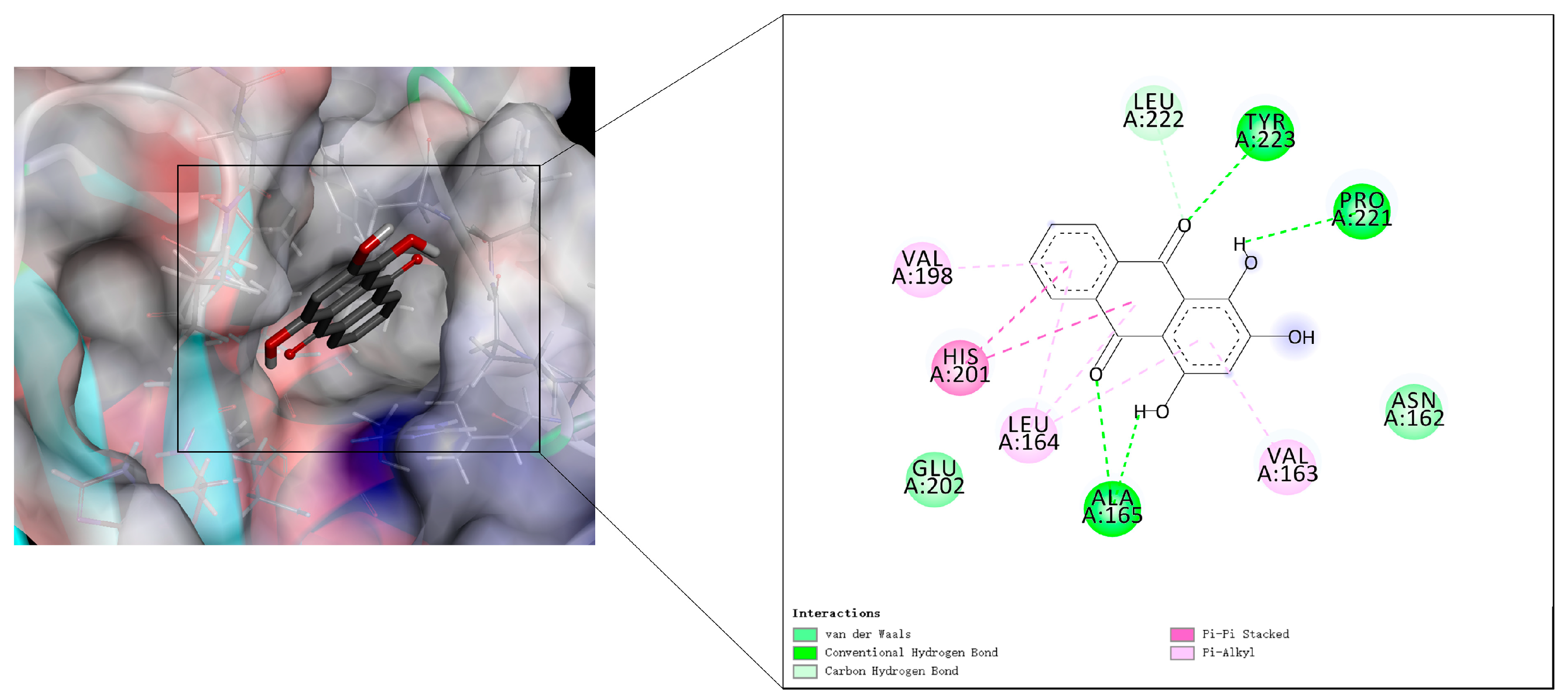 Molecules 28 00366 g008