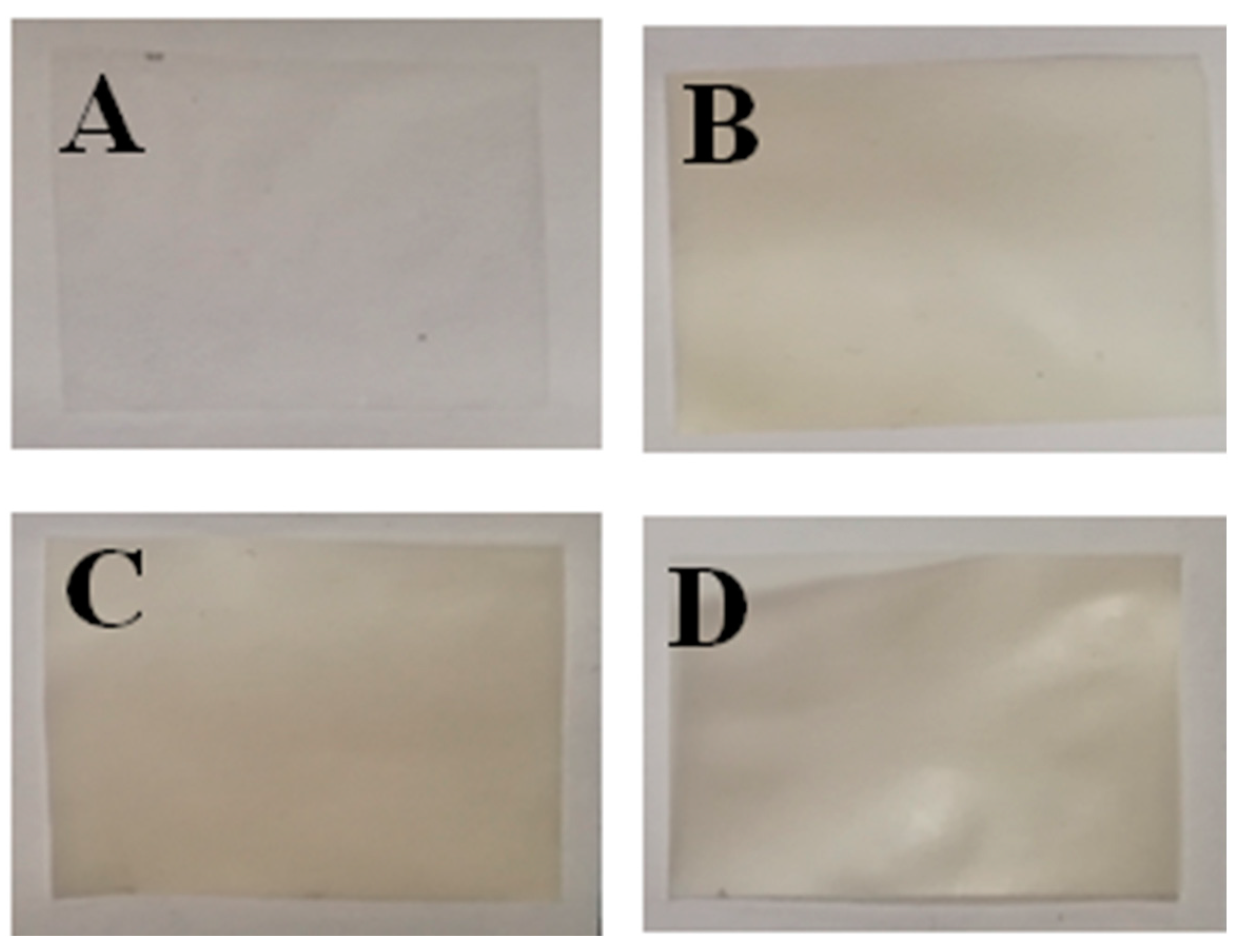 Molecules 28 00367 g001