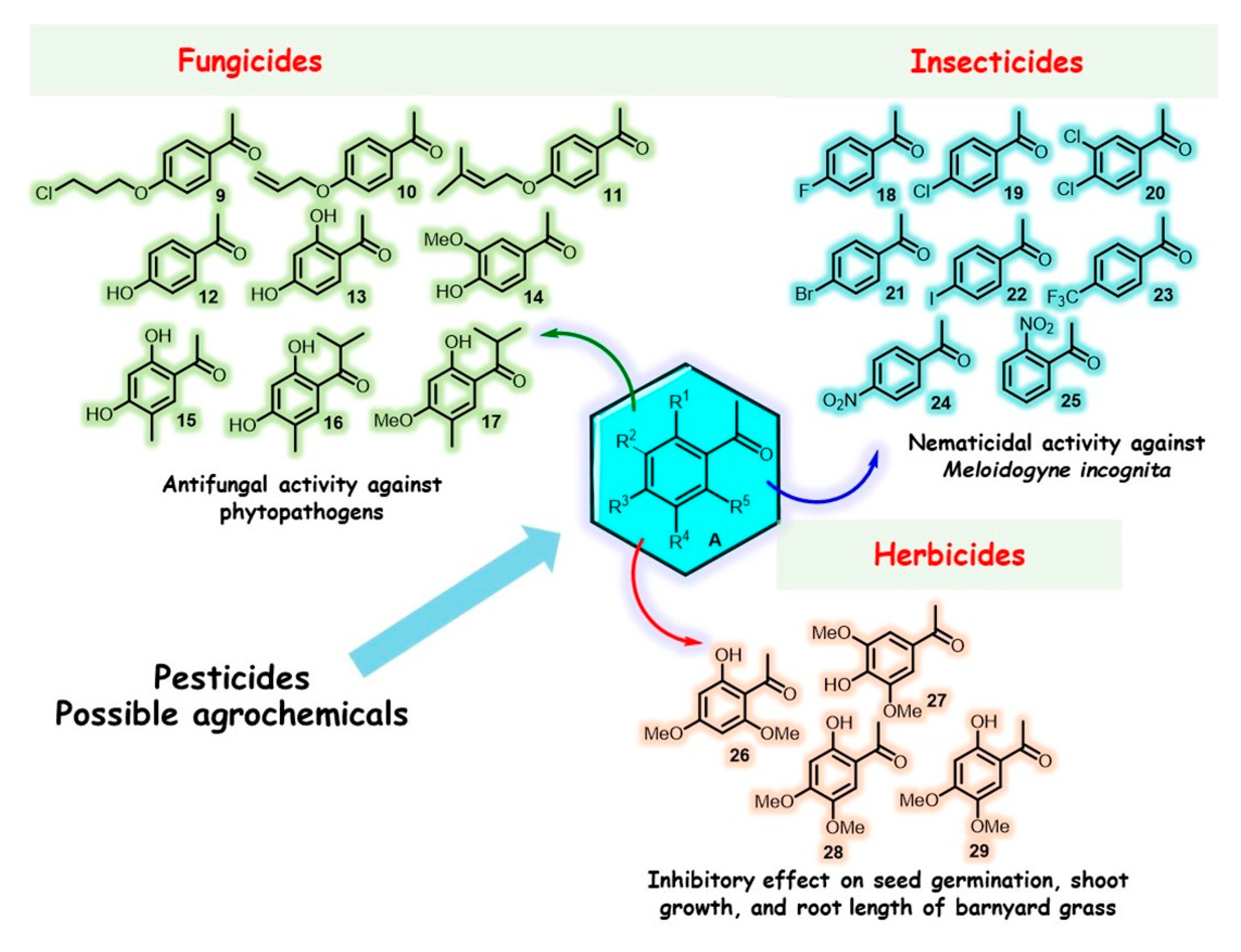 Molecules 28 00370 g005