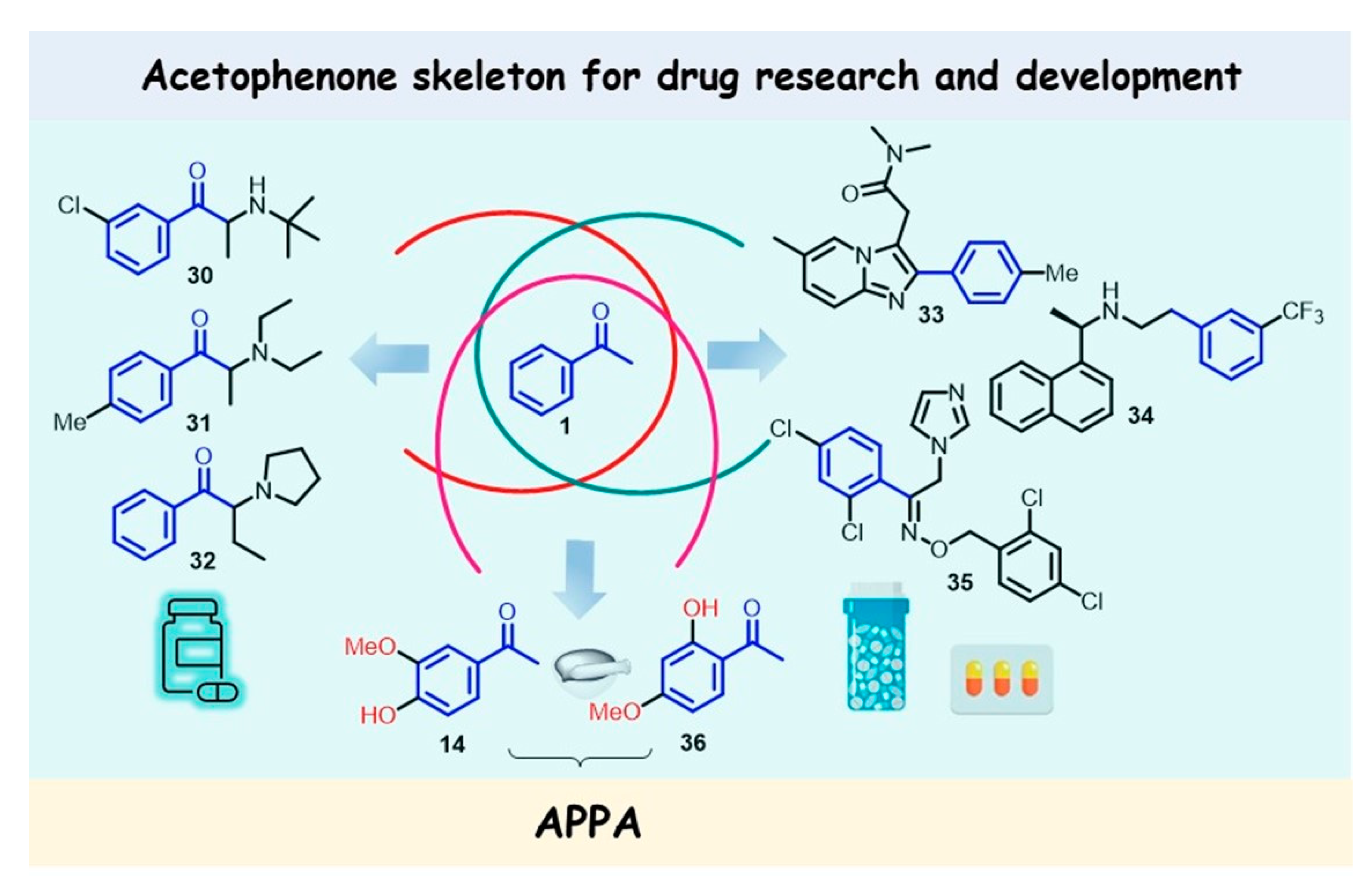Molecules 28 00370 g006