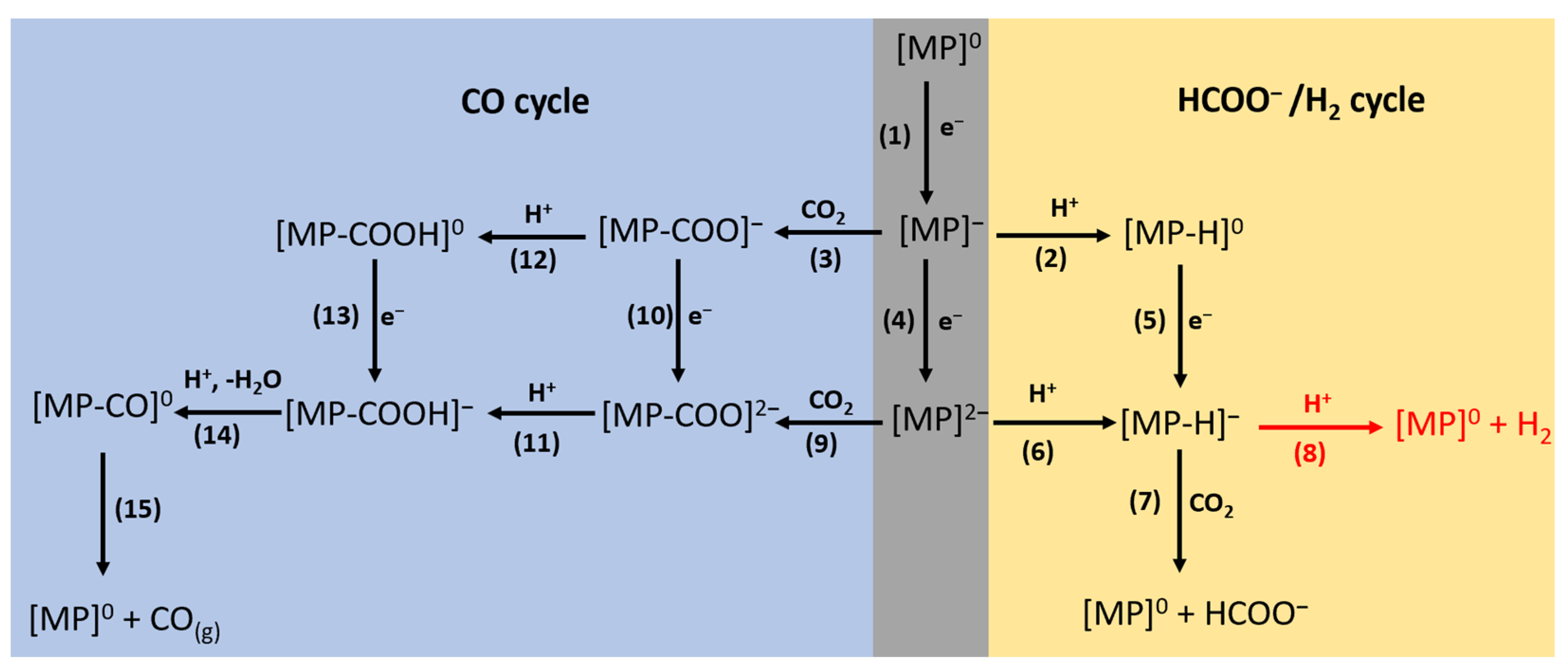 Molecules 28 00375 sch001