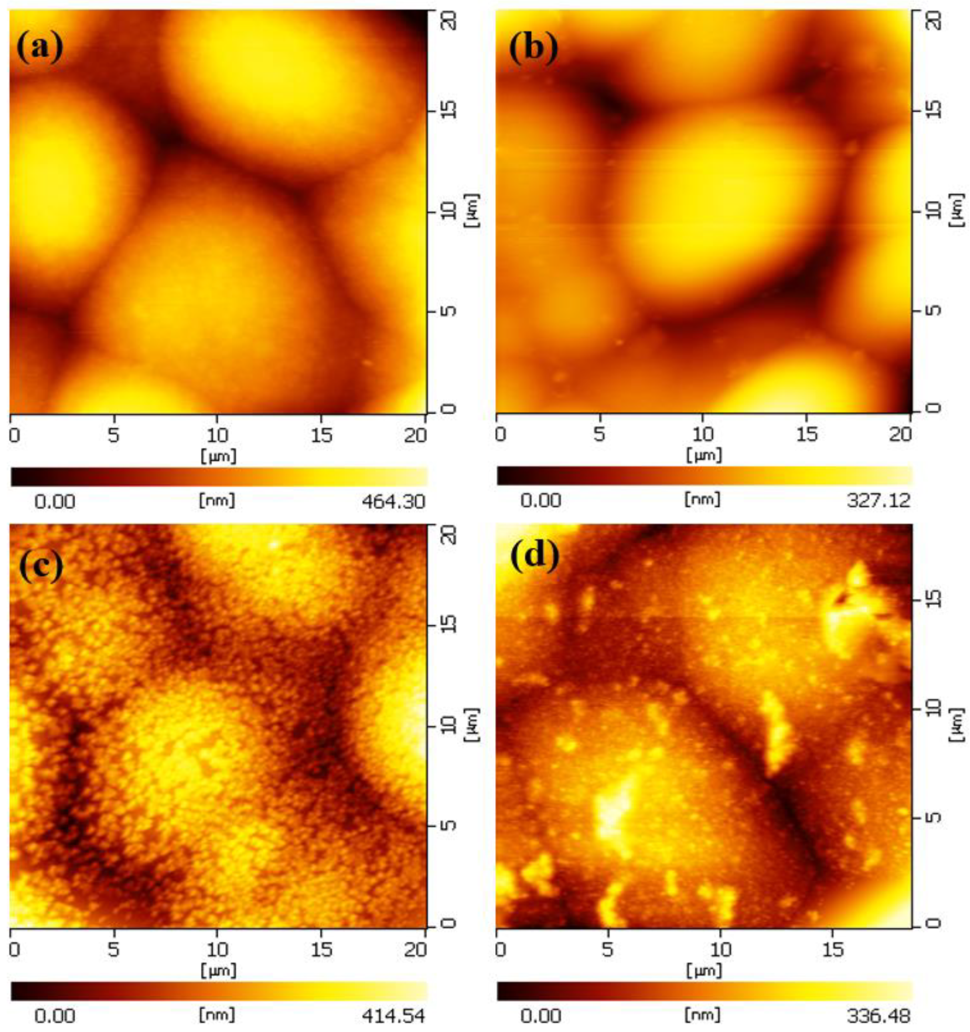 Molecules 28 00377 g002