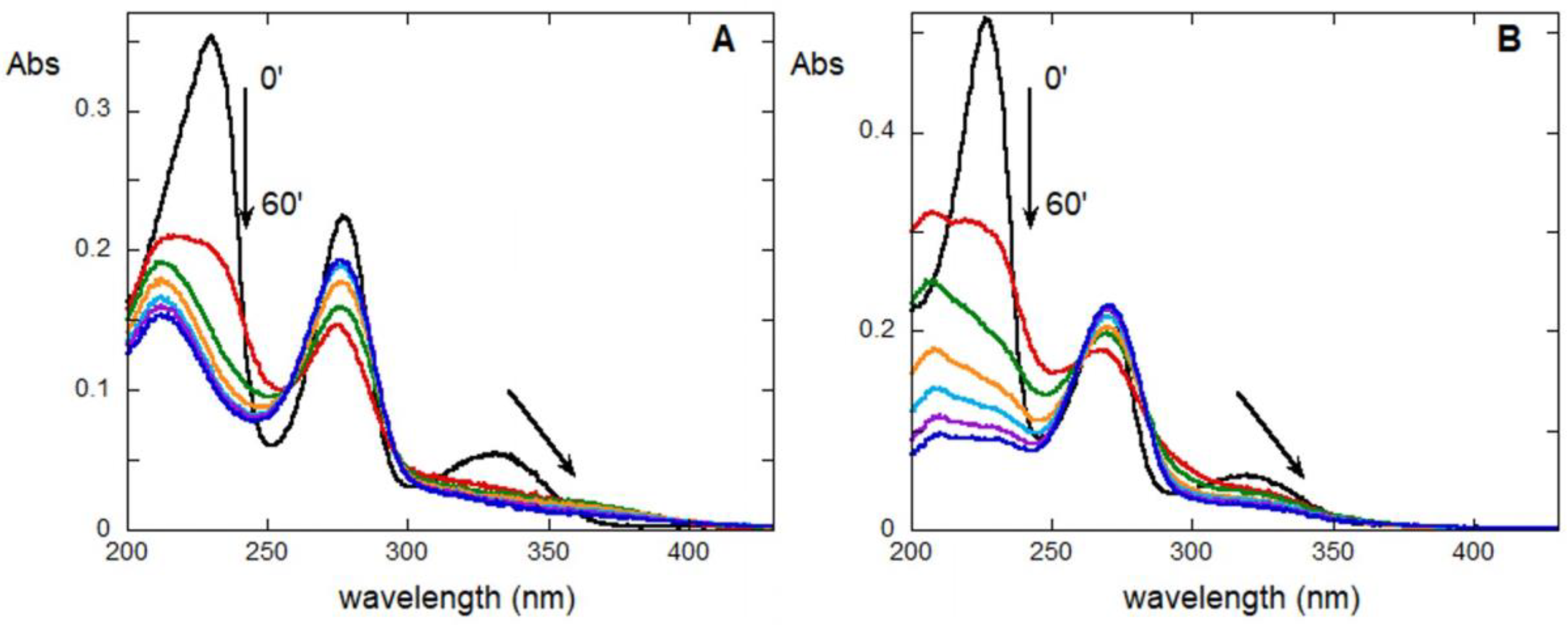Molecules 28 00381 g005 Molecules 28 00381 g005