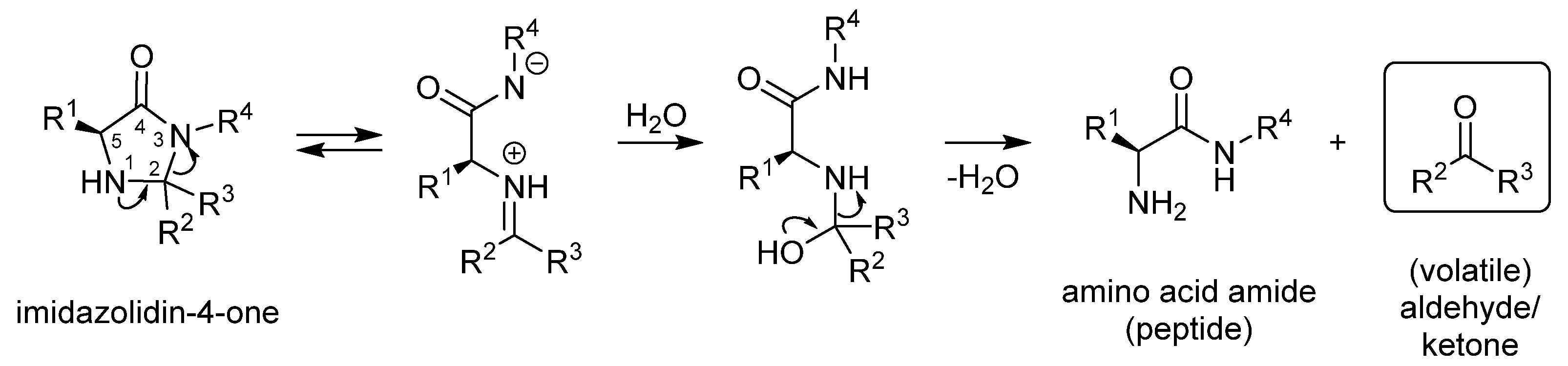 Molecules 28 00382 sch001