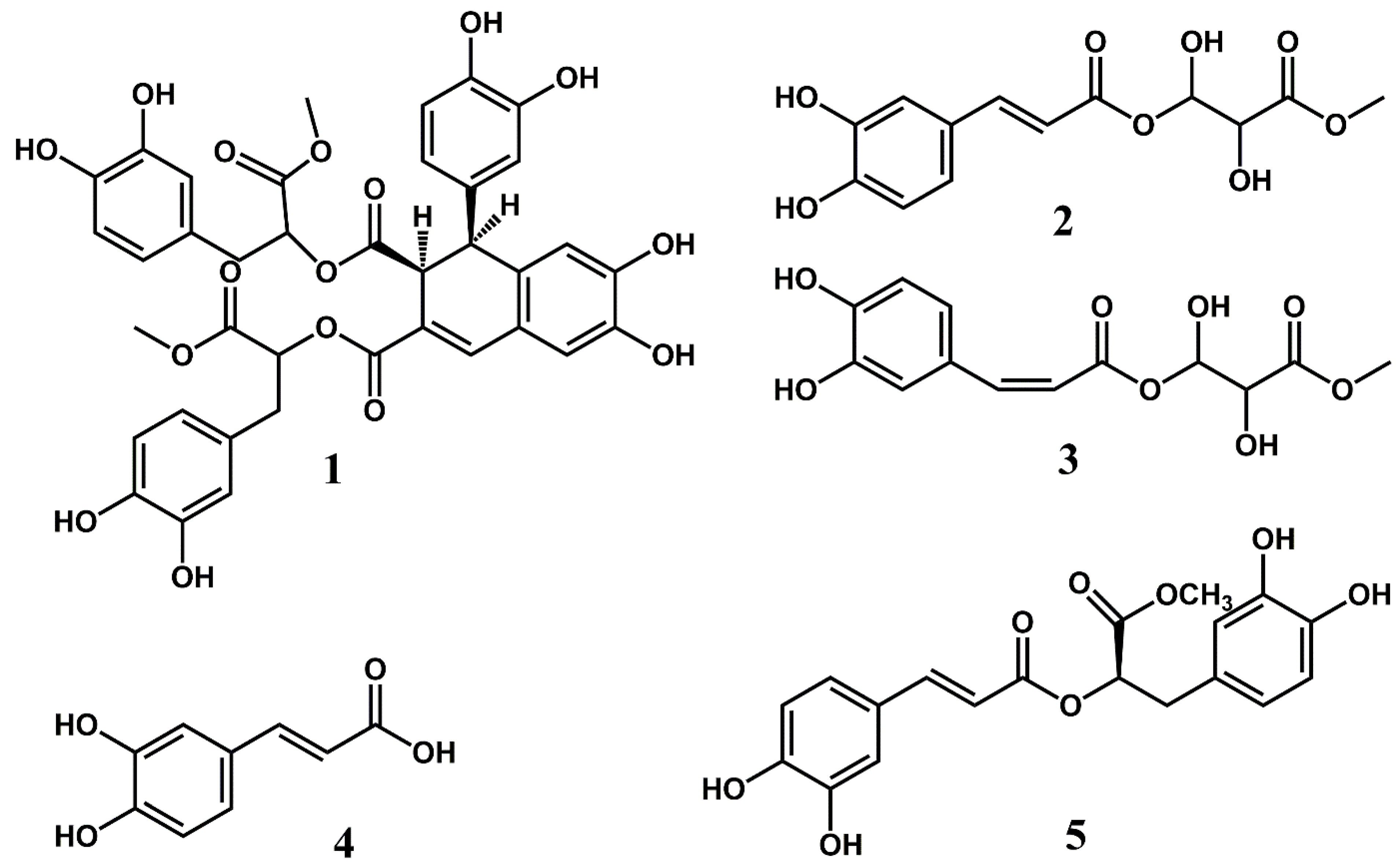 Molecules 28 00385 g002