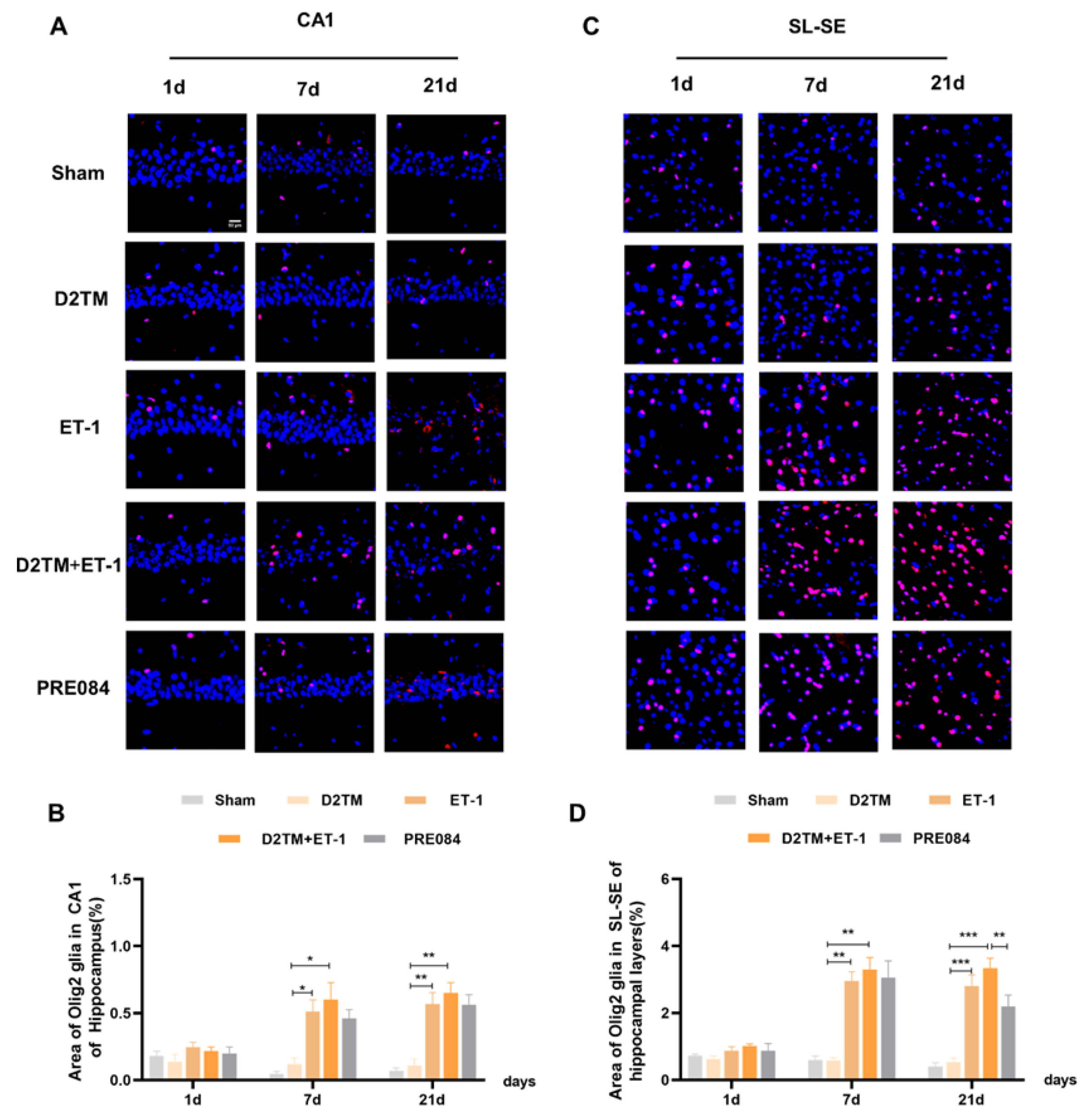 Molecules 28 00390 g006 Molecules 28 00390 g006
