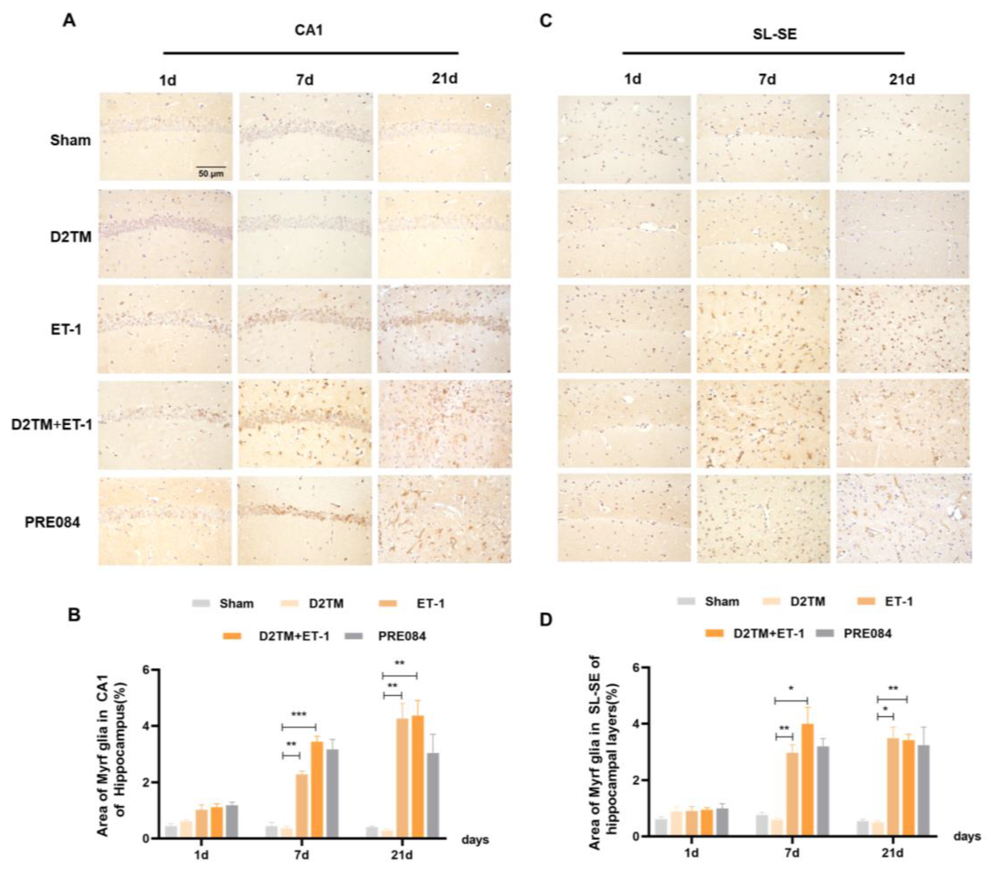 Molecules 28 00390 g007 Molecules 28 00390 g007