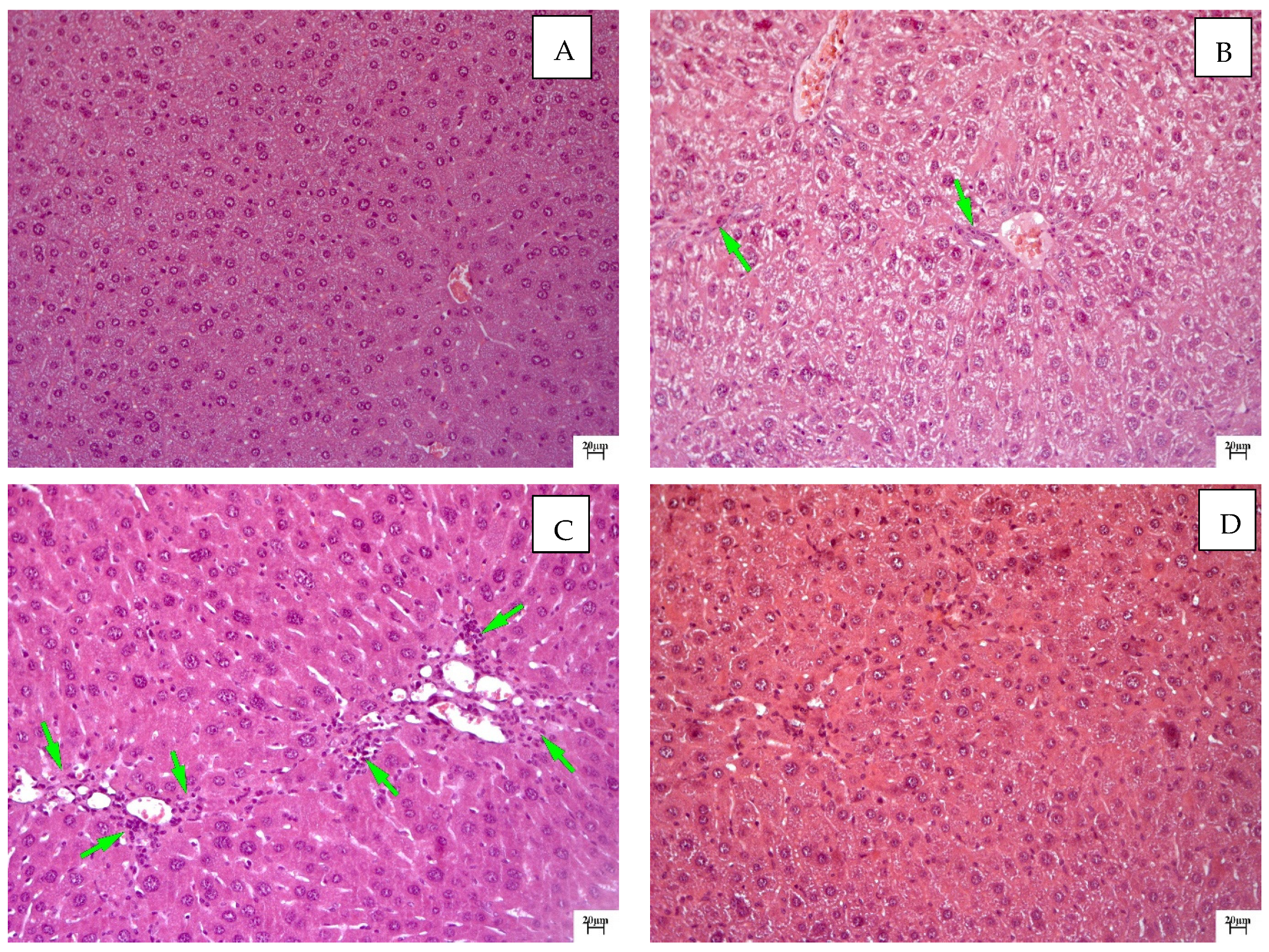 Molecules 28 00396 g002