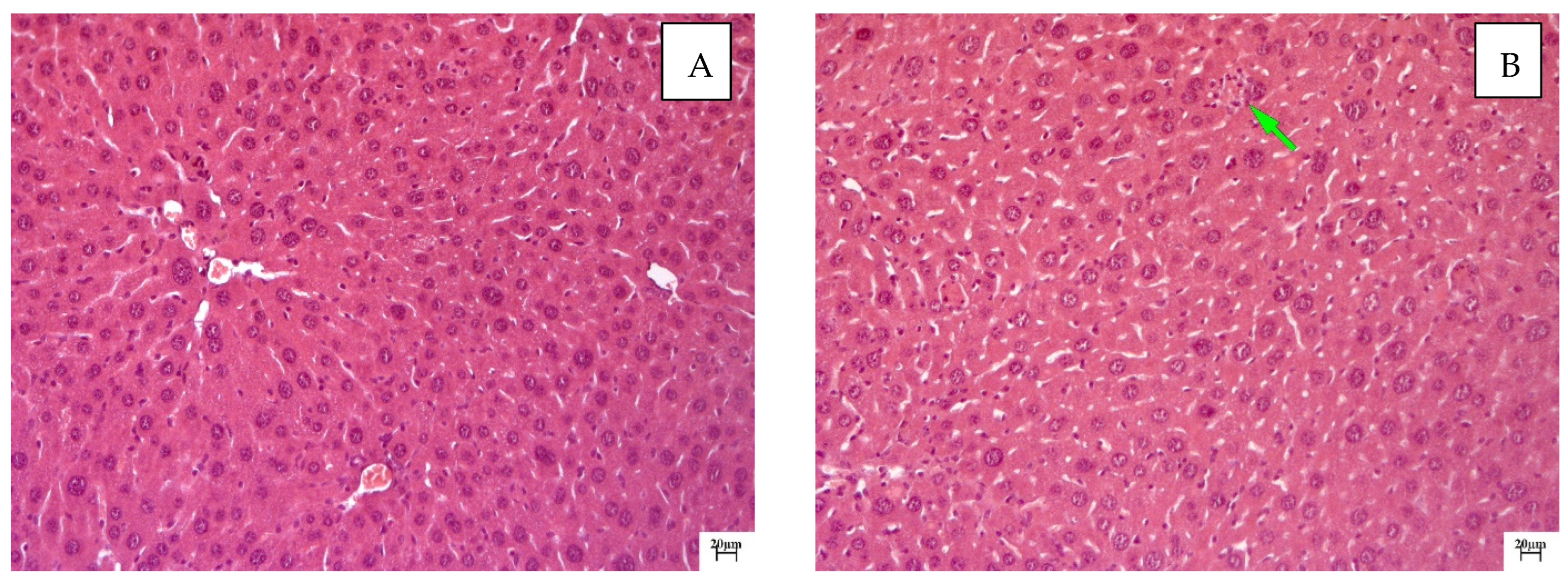 Molecules 28 00396 g003