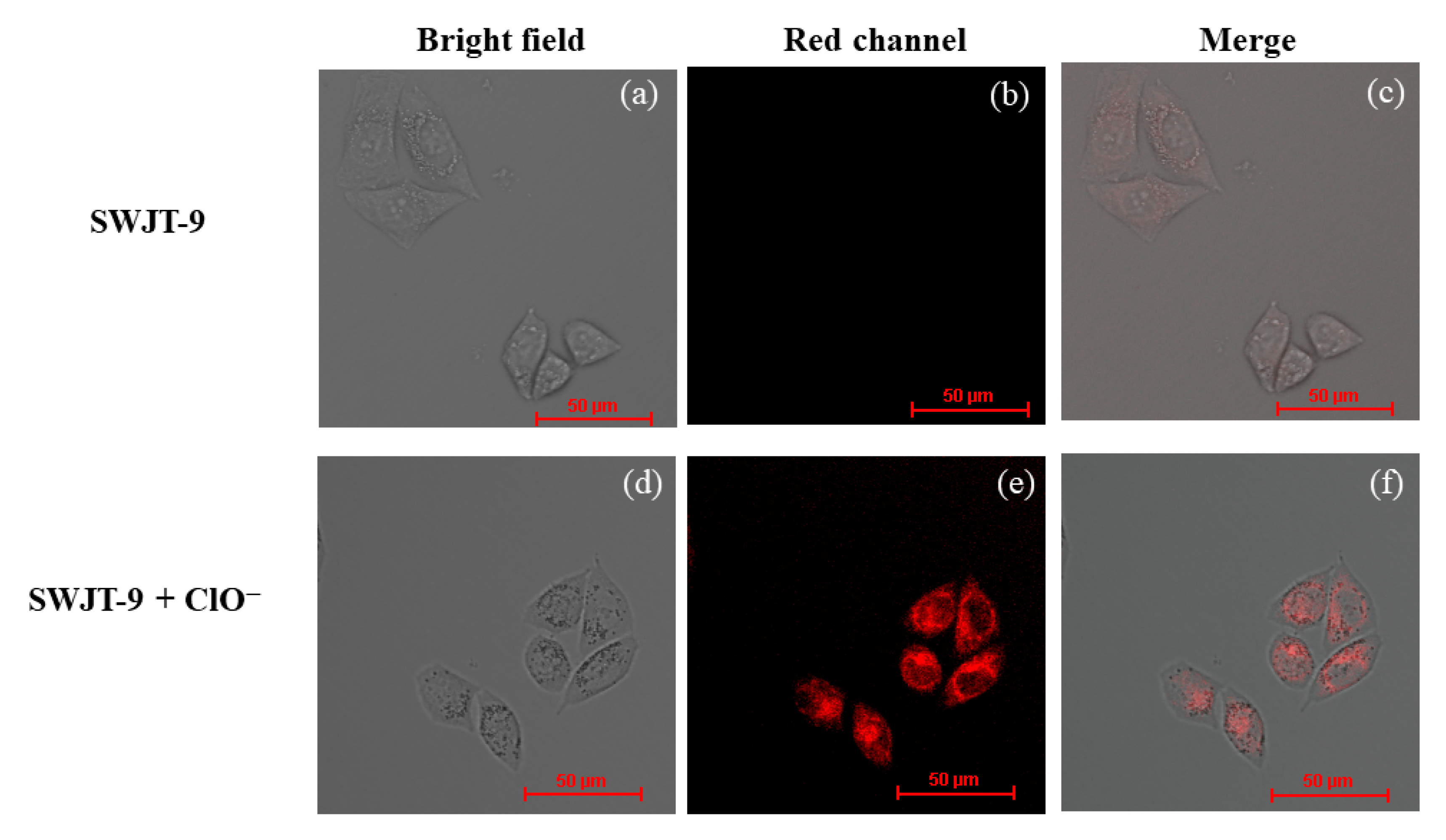 Molecules 28 00402 g005