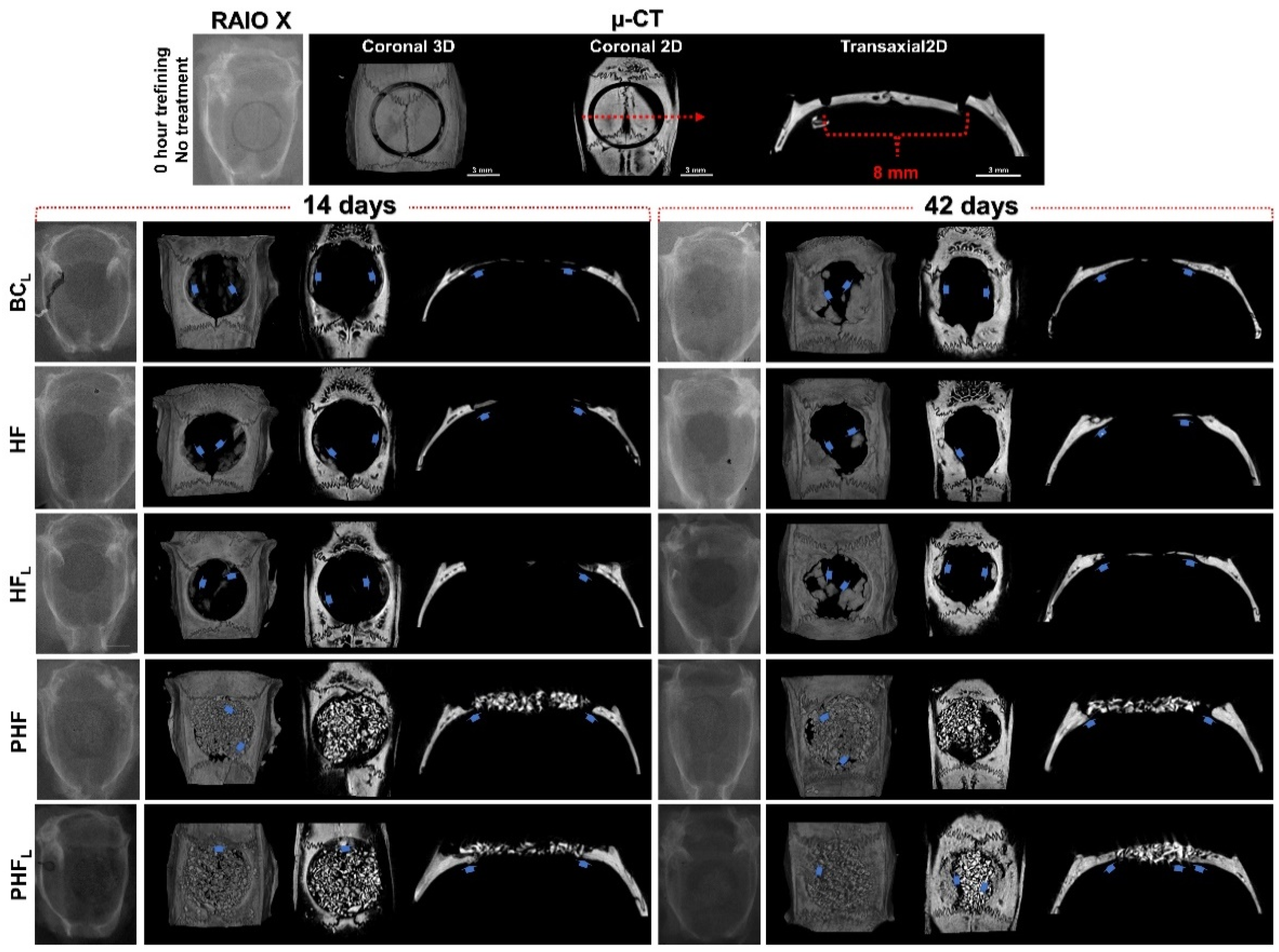 Molecules 28 00407 g001