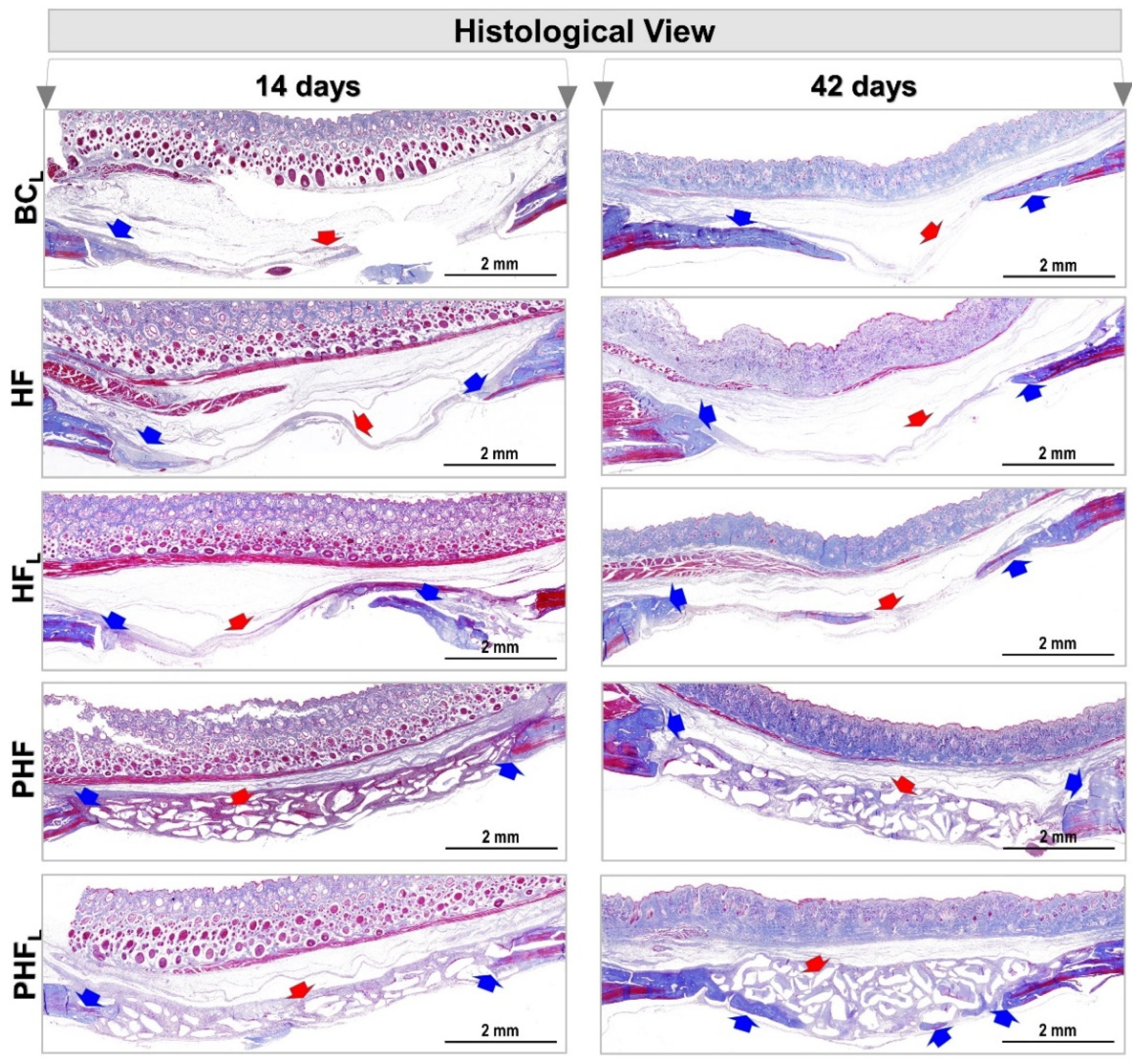 Molecules 28 00407 g004