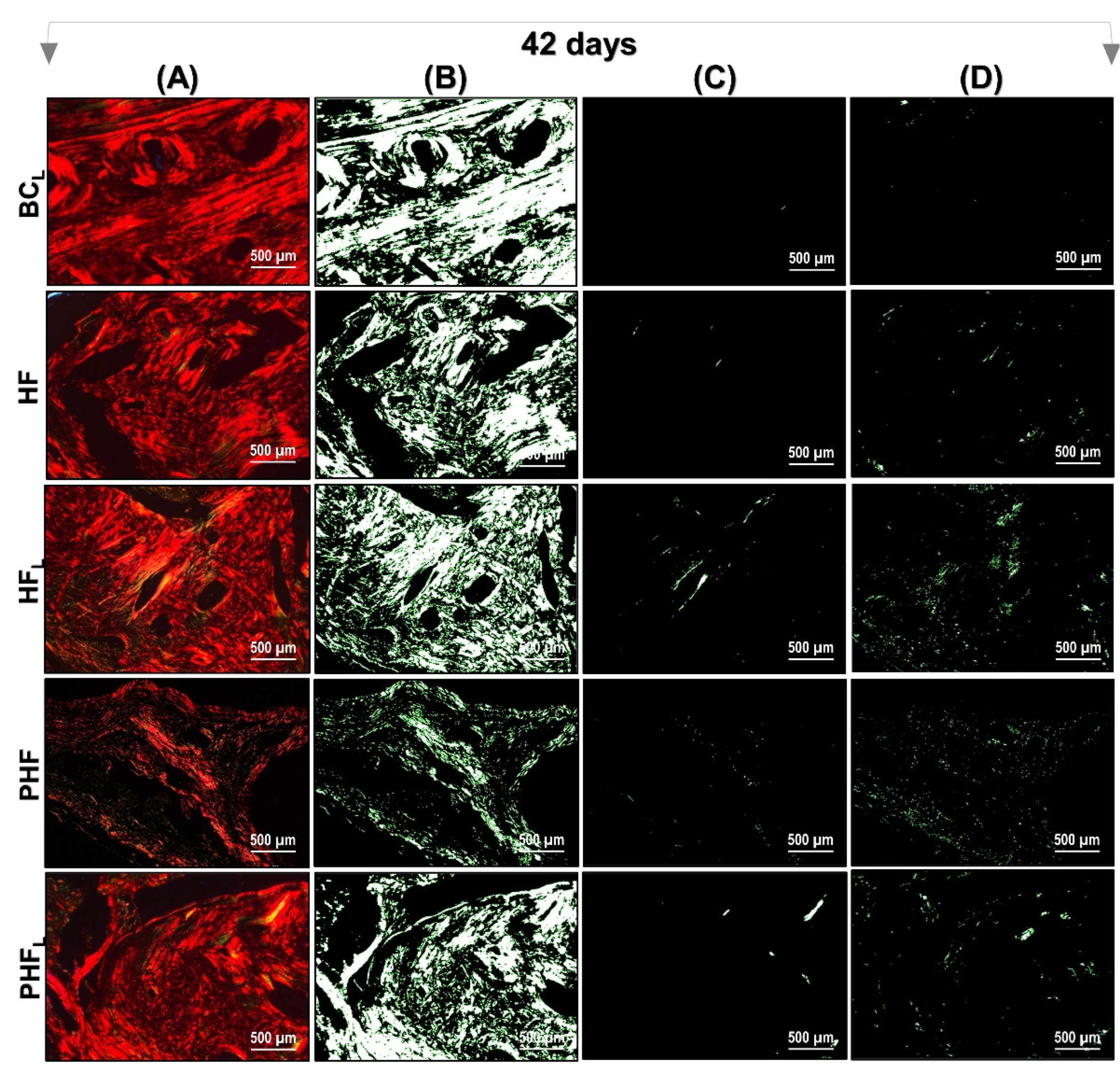 Molecules 28 00407 g007