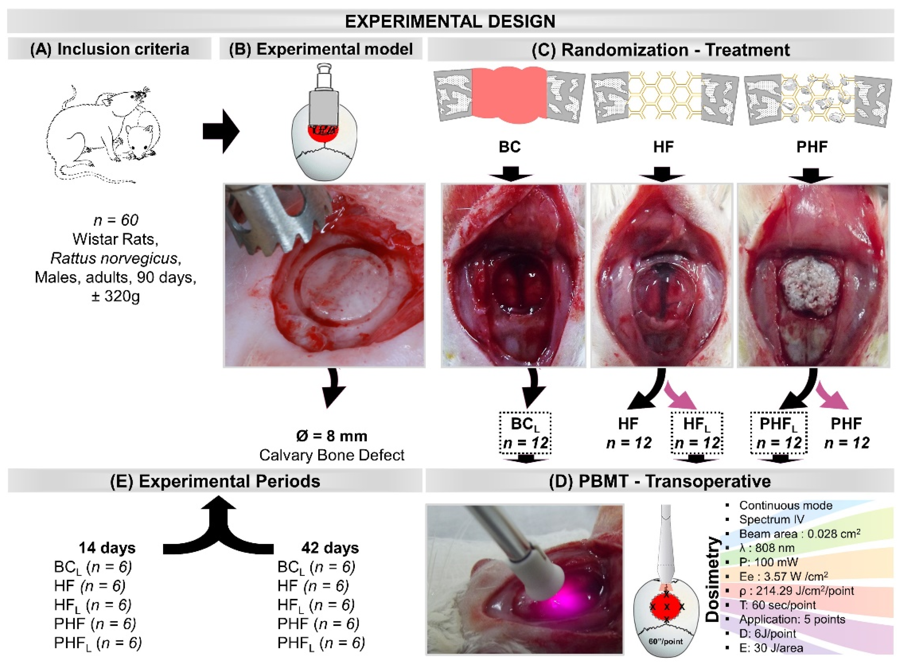 Molecules 28 00407 g009