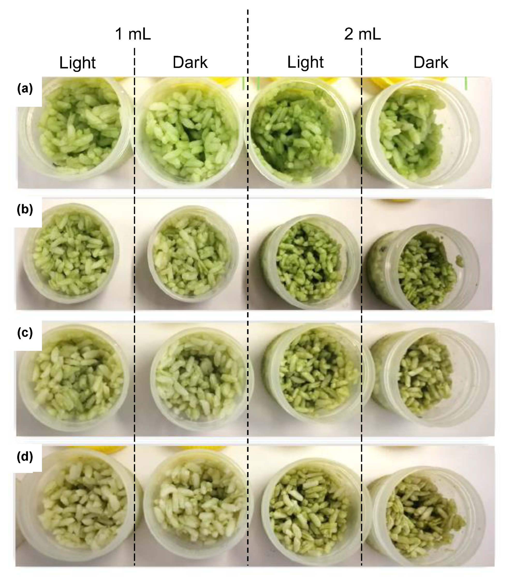 Molecules 28 00408 g009