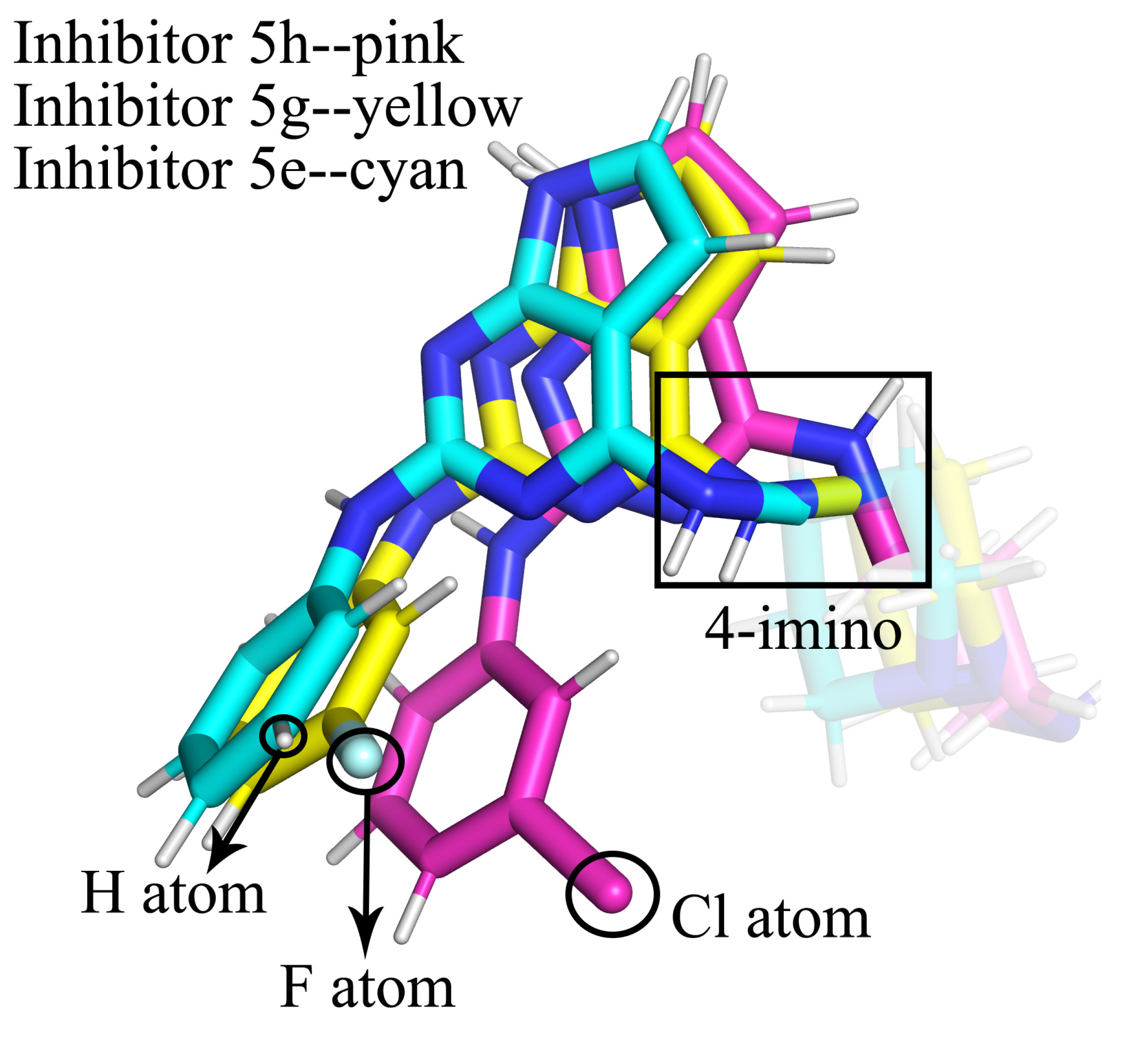 Molecules 28 00413 g012 Molecules 28 00413 g012