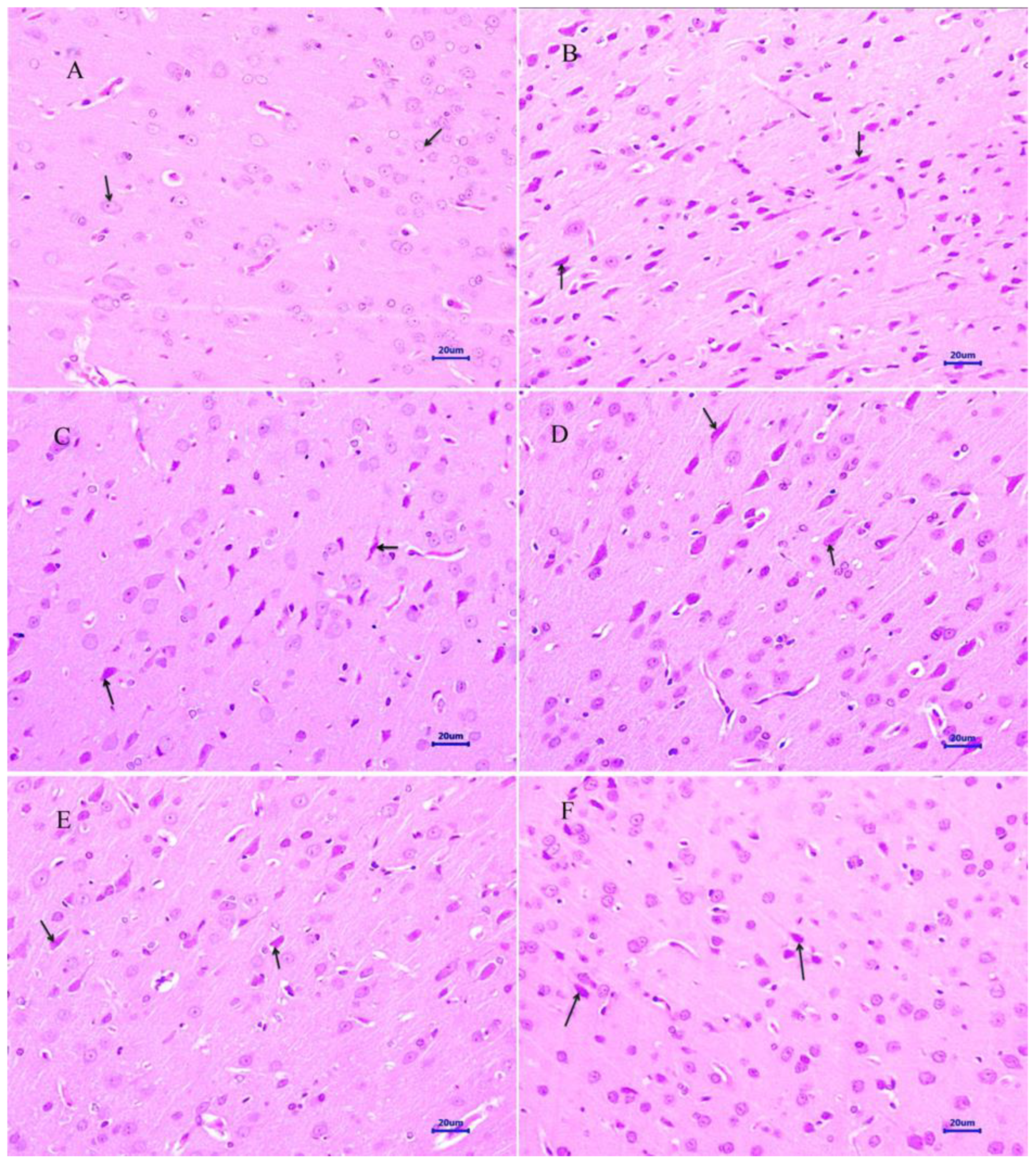 Molecules 28 00417 g007