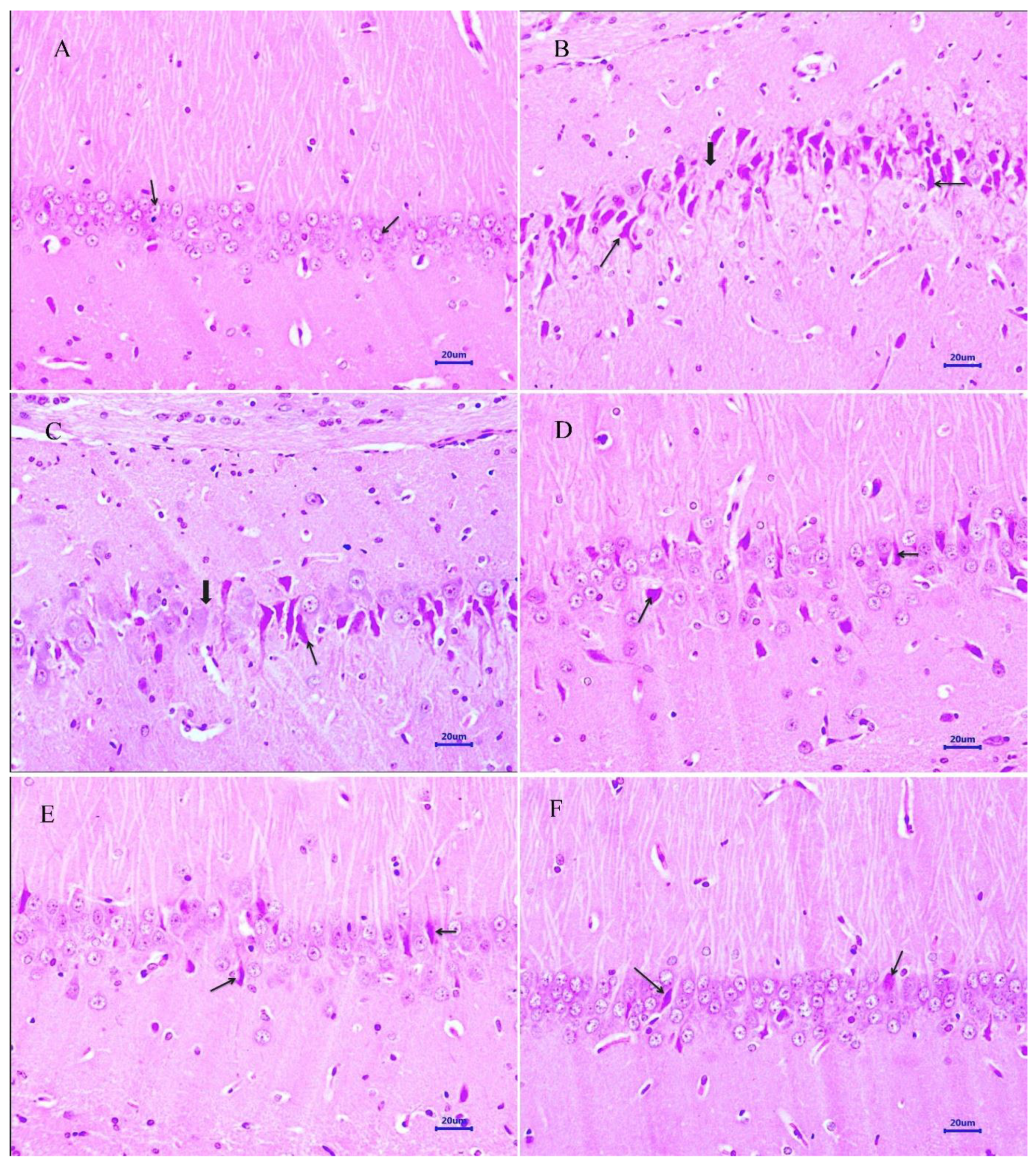 Molecules 28 00417 g008