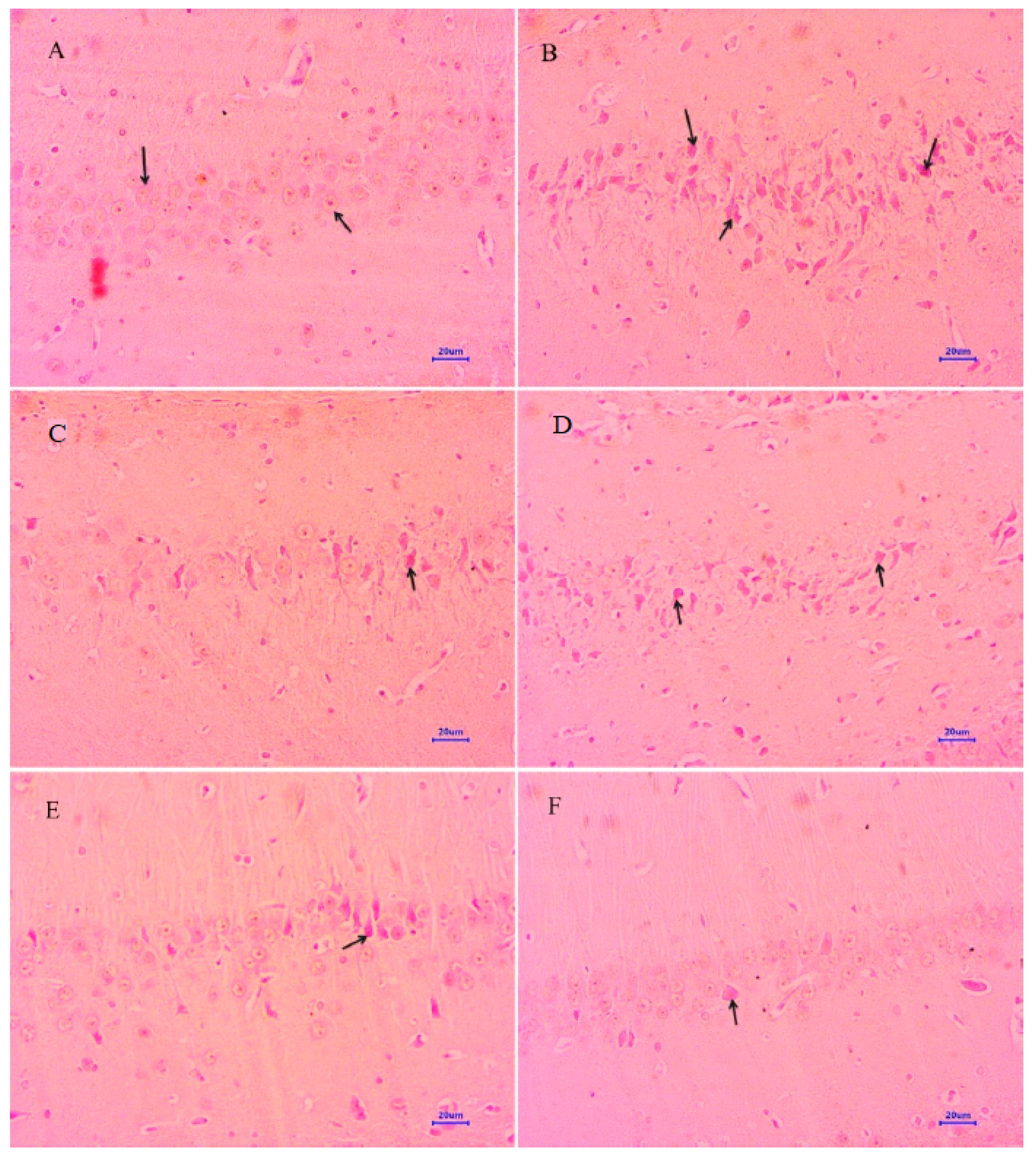 Molecules 28 00417 g010