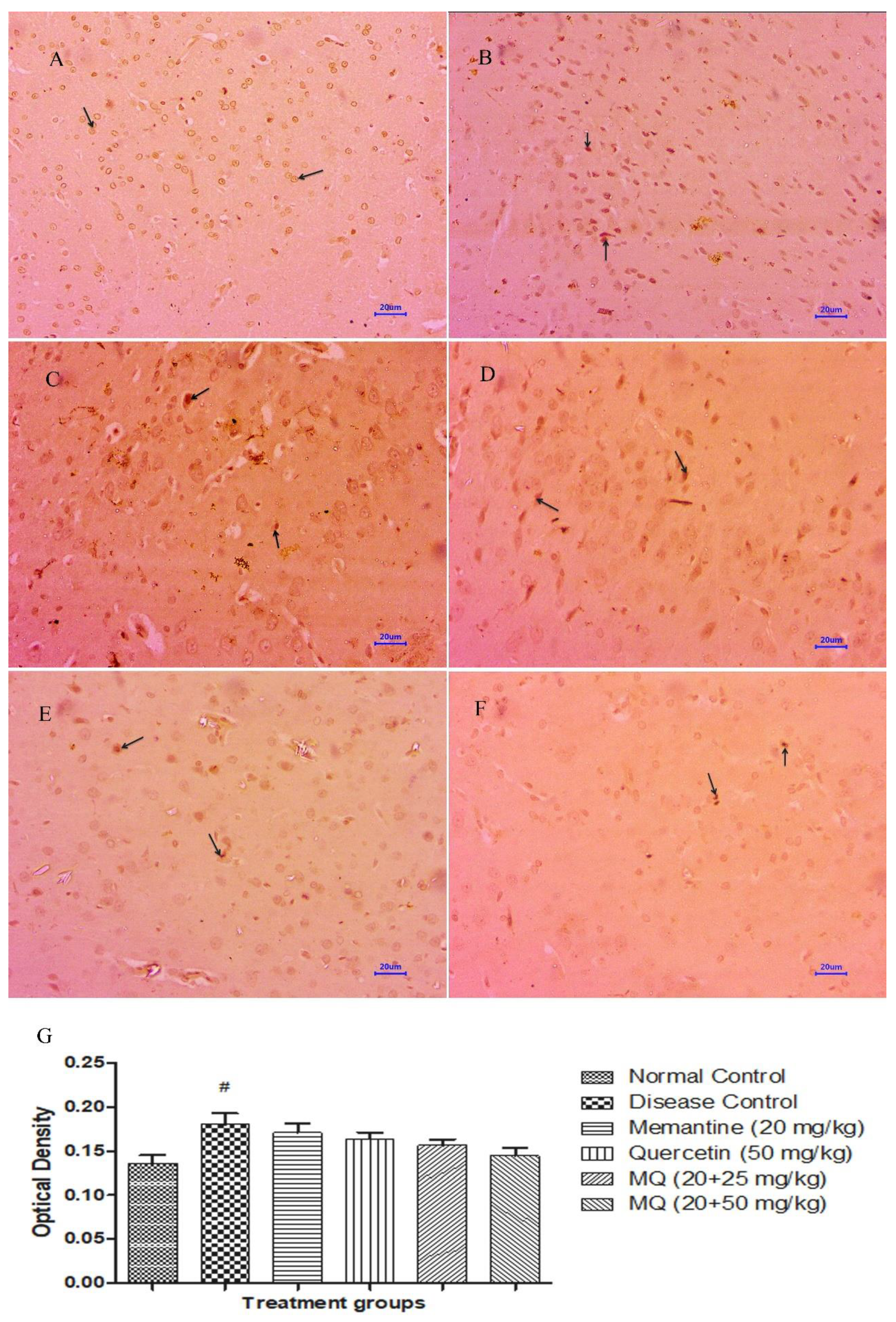 Molecules 28 00417 g011