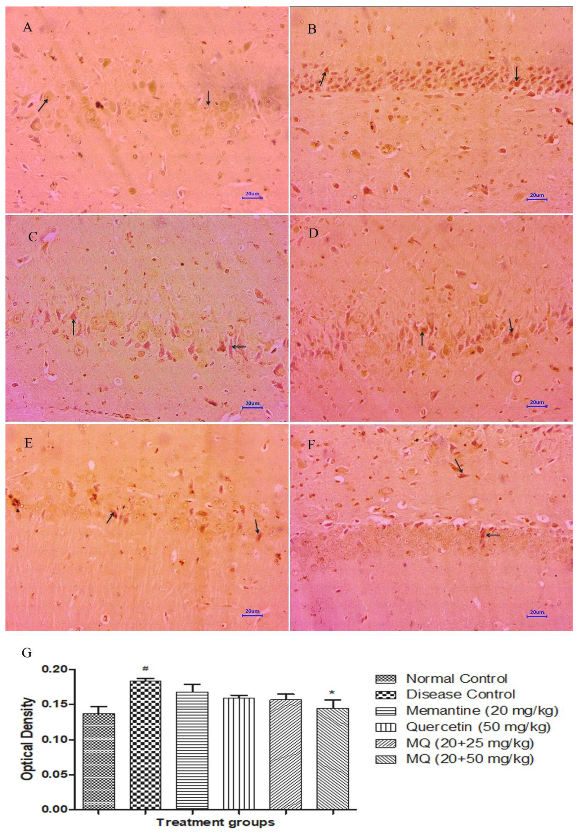 Molecules 28 00417 g012