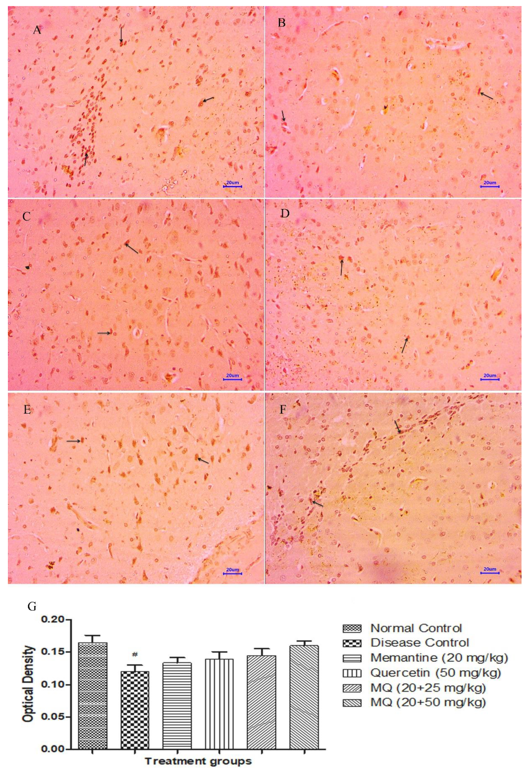 Molecules 28 00417 g013