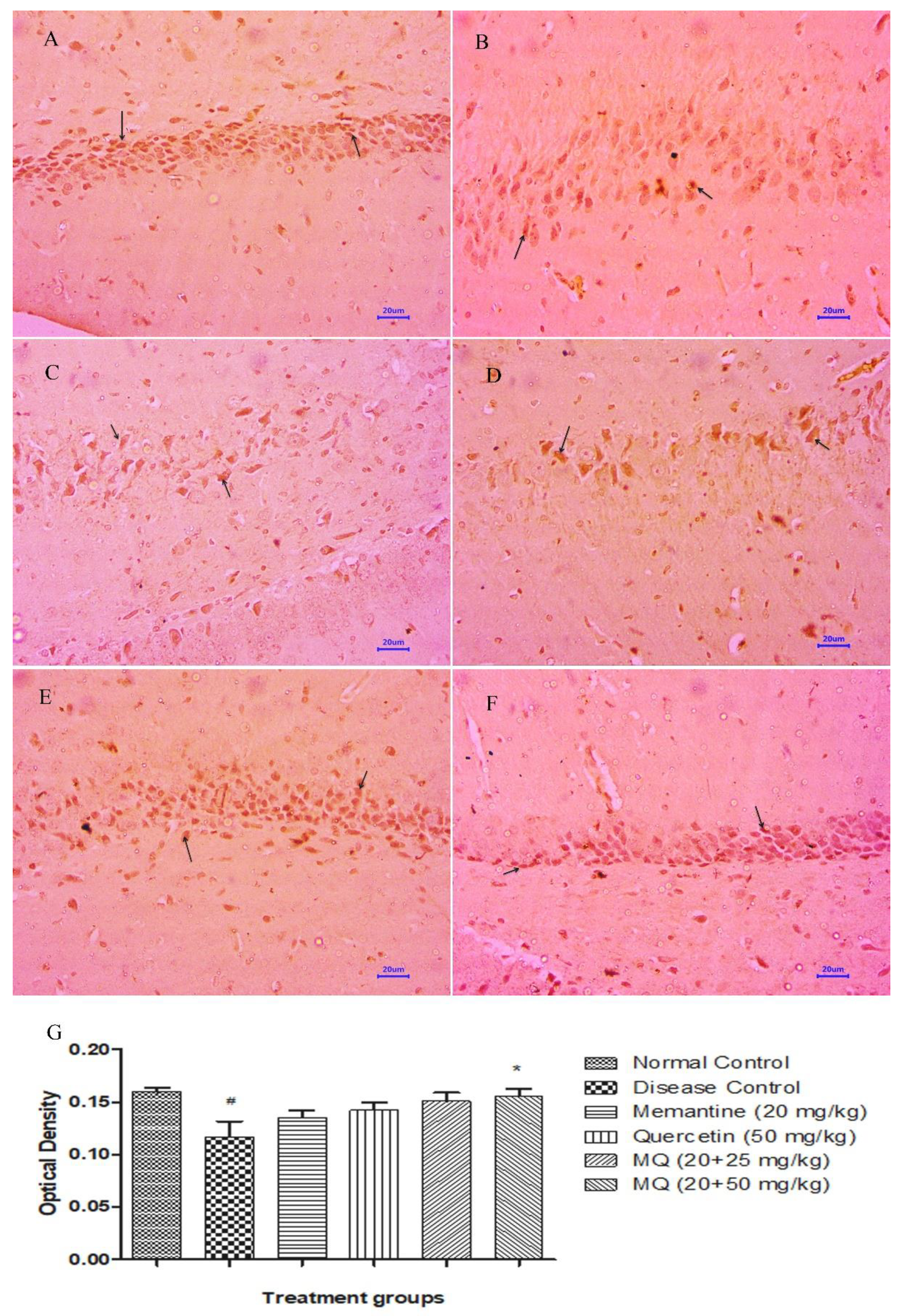 Molecules 28 00417 g014