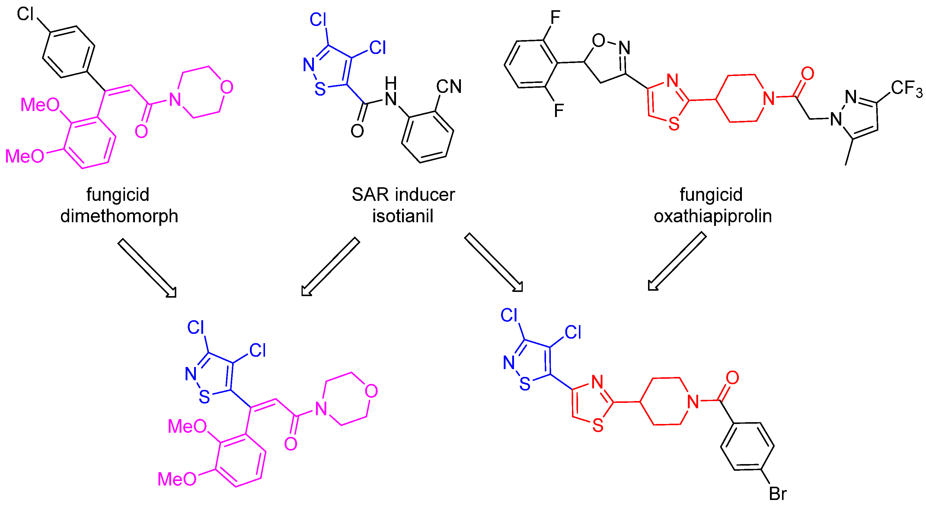 Molecules 28 00419 sch001 Molecules 28 00419 sch001