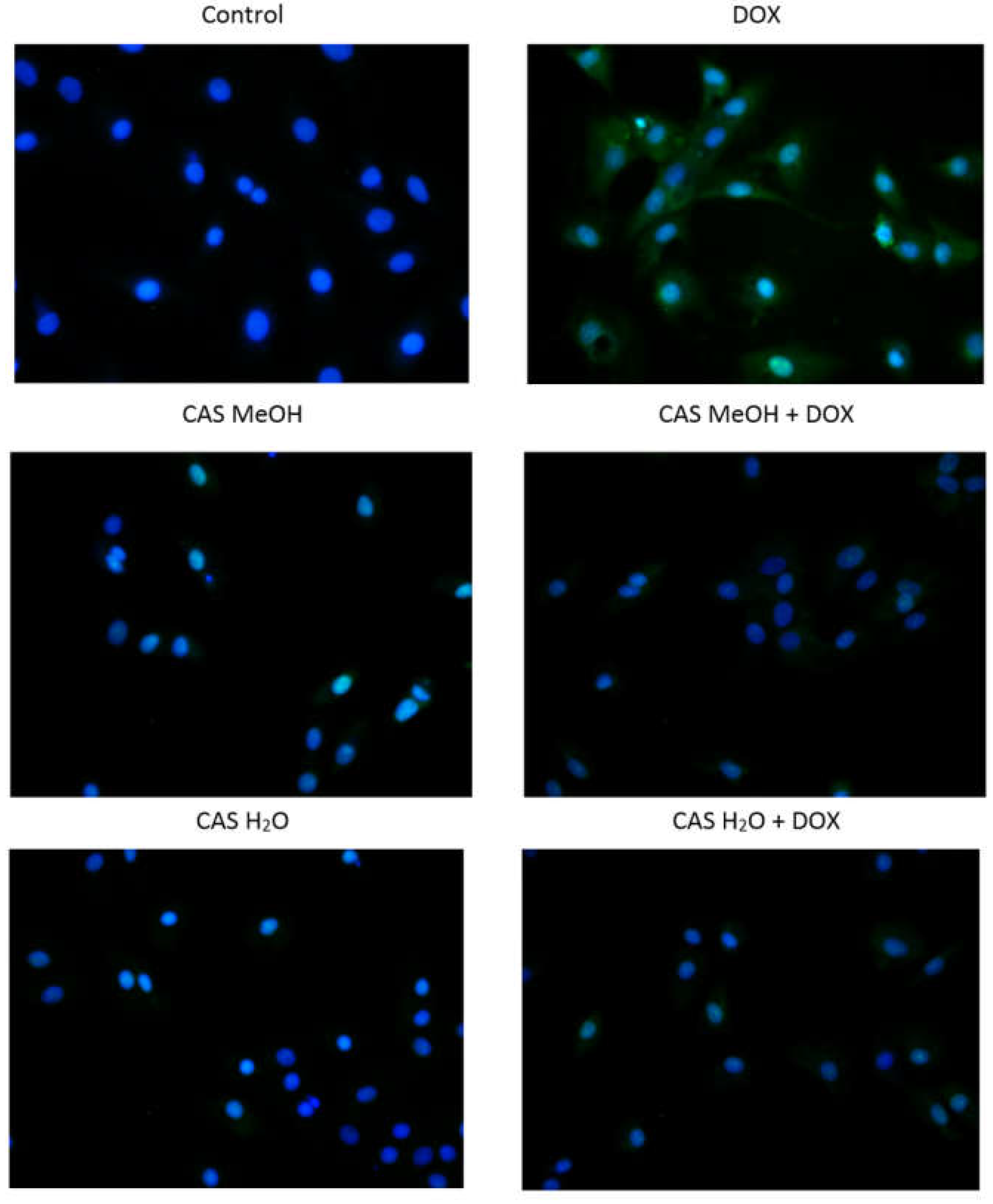 Molecules 28 00420 g005 Molecules 28 00420 g005