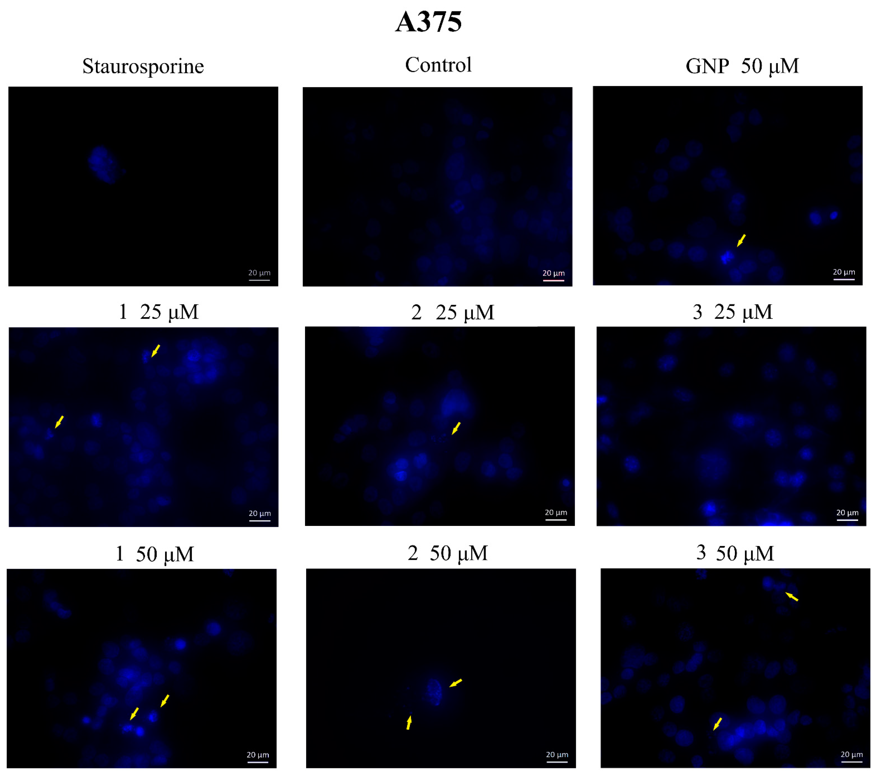 Molecules 28 00421 g009