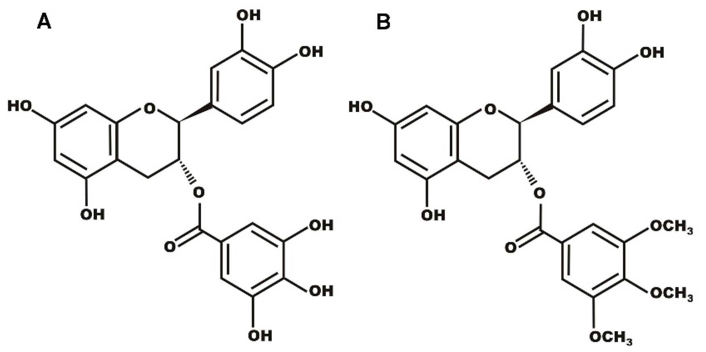 Molecules 28 00422 g001