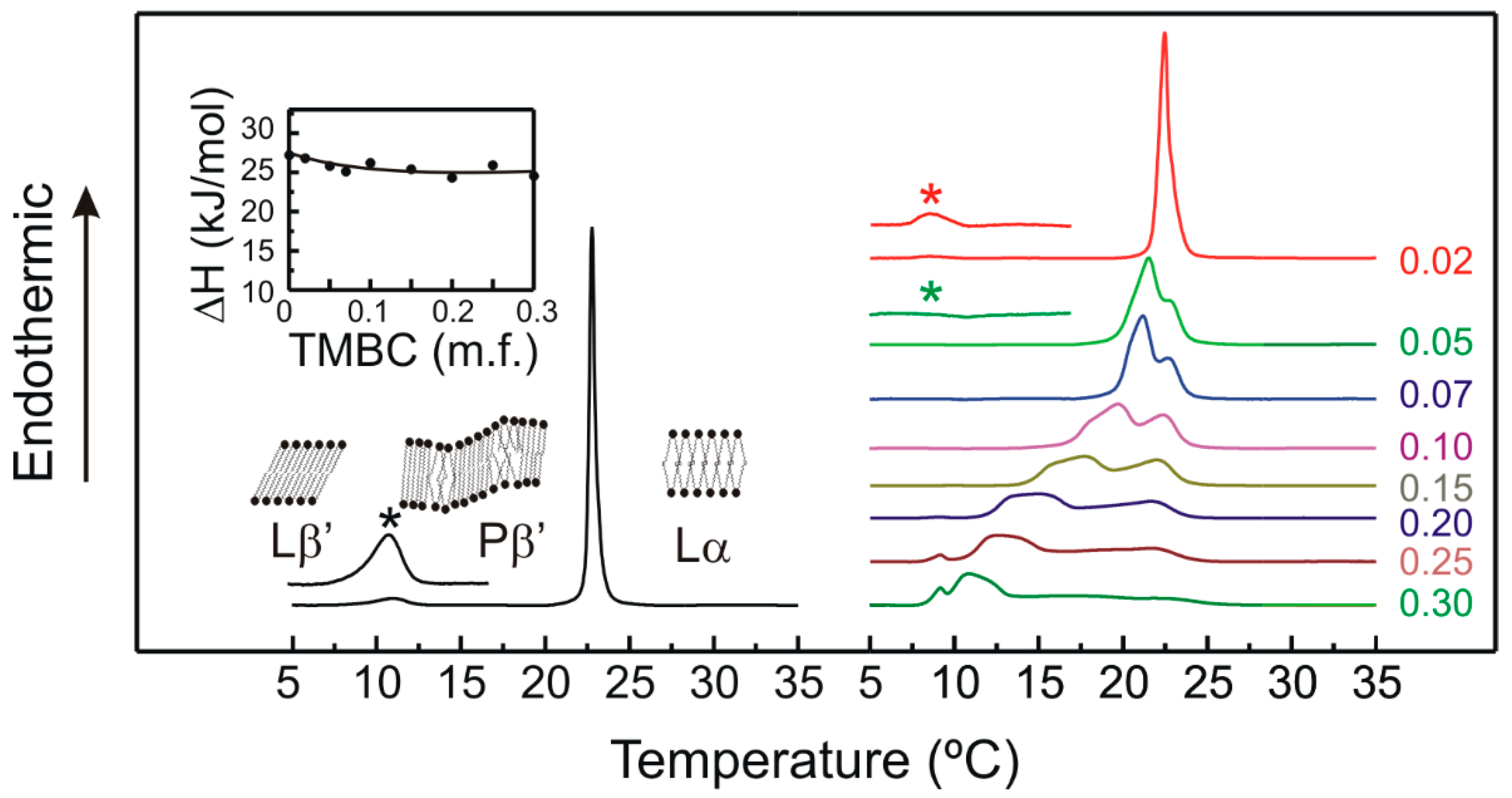 Molecules 28 00422 g002