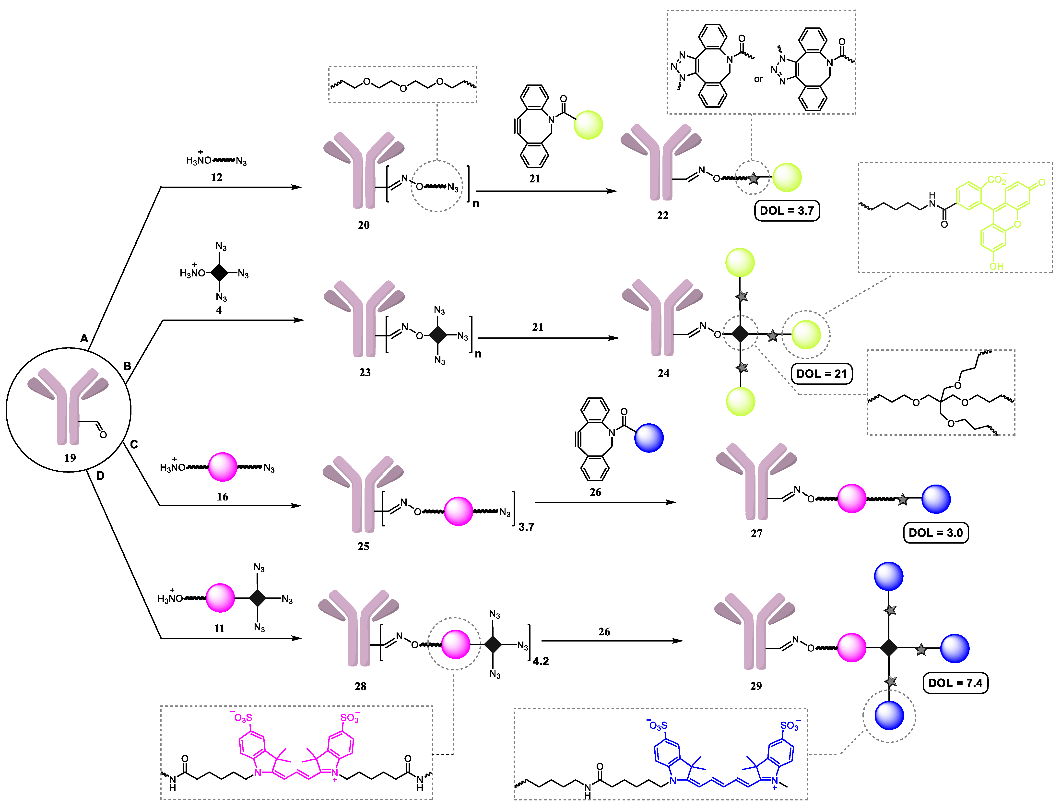 Molecules 28 00425 sch002 Molecules 28 00425 sch002