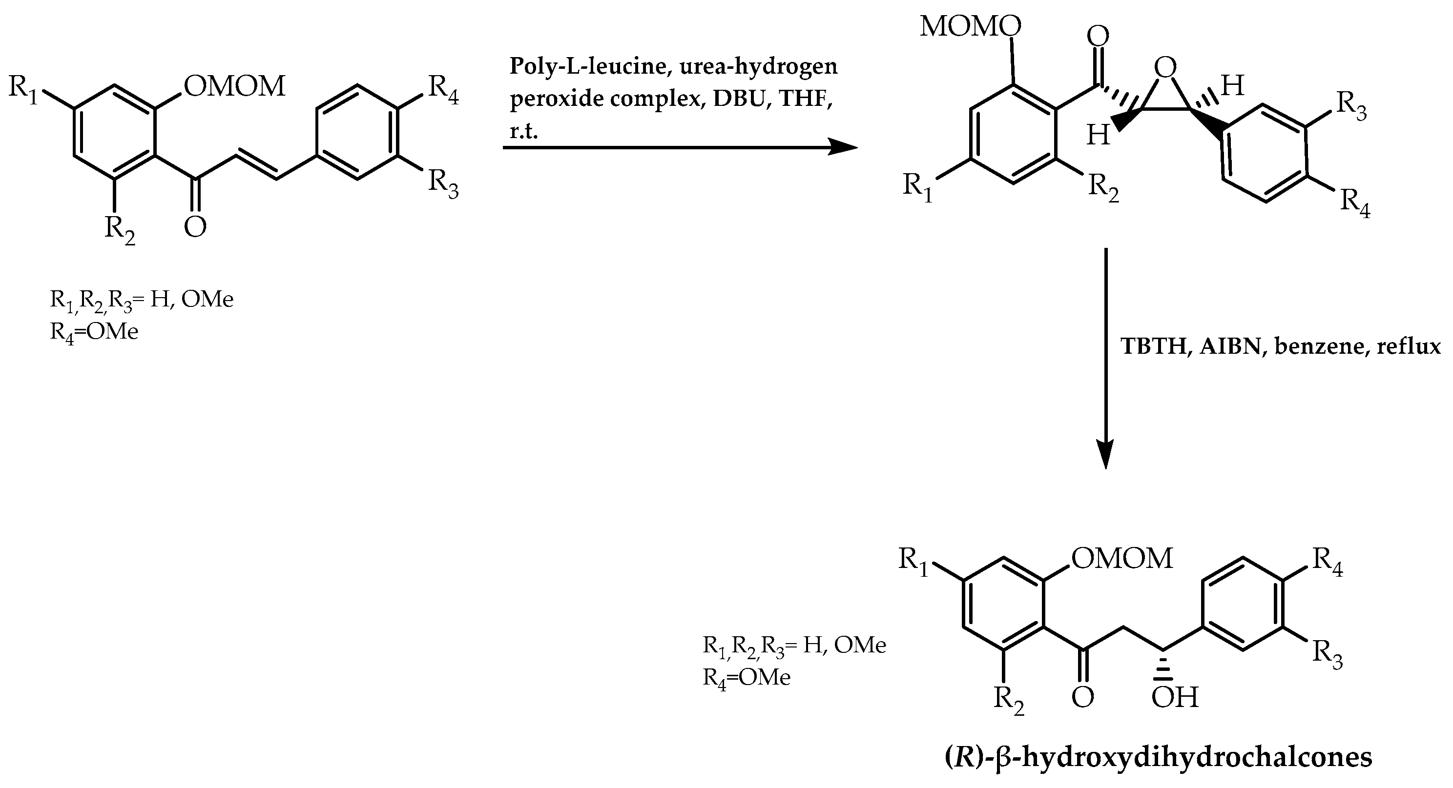 Molecules 28 00426 g010 Molecules 28 00426 g010