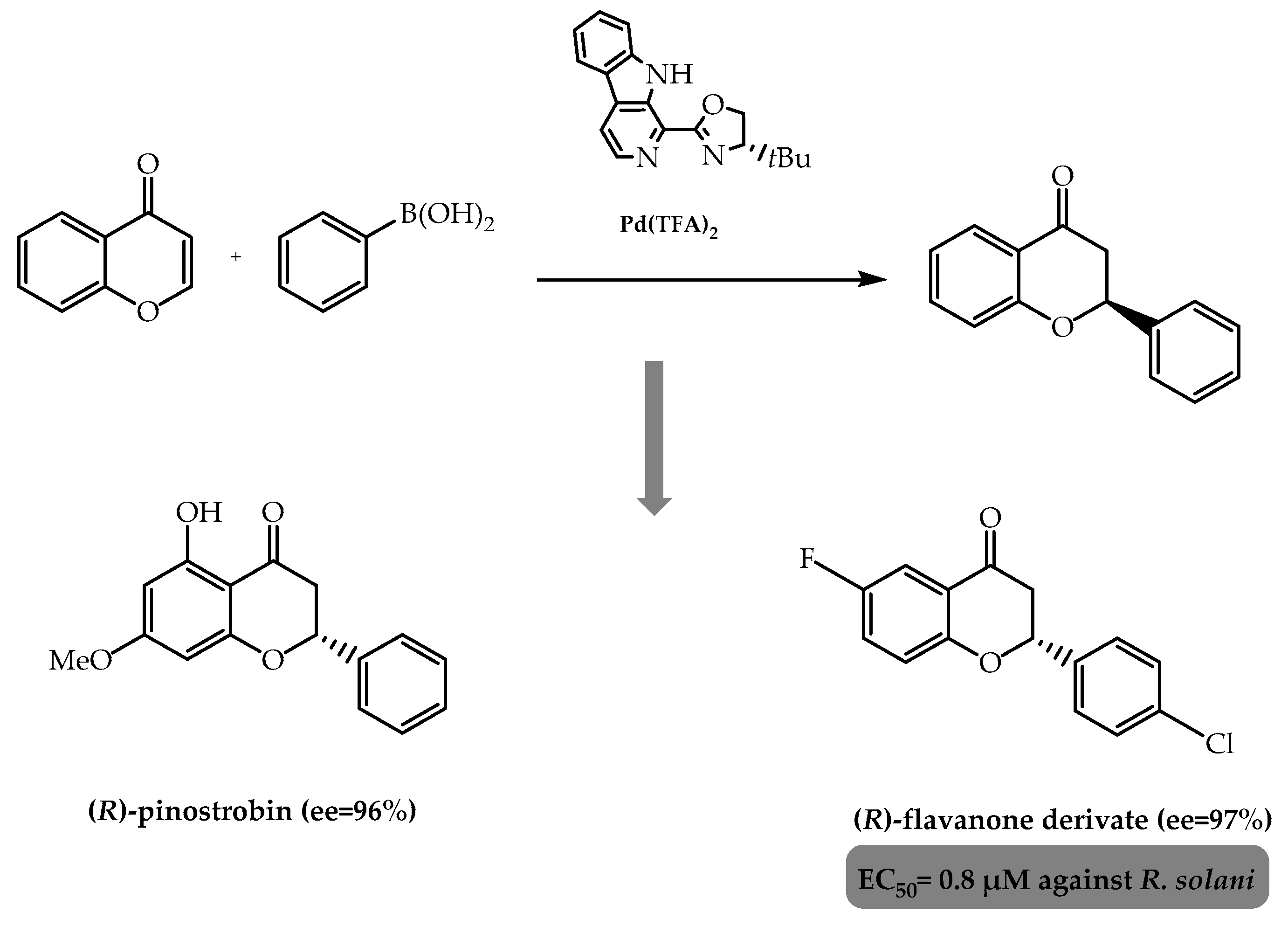Molecules 28 00426 g023 Molecules 28 00426 g023