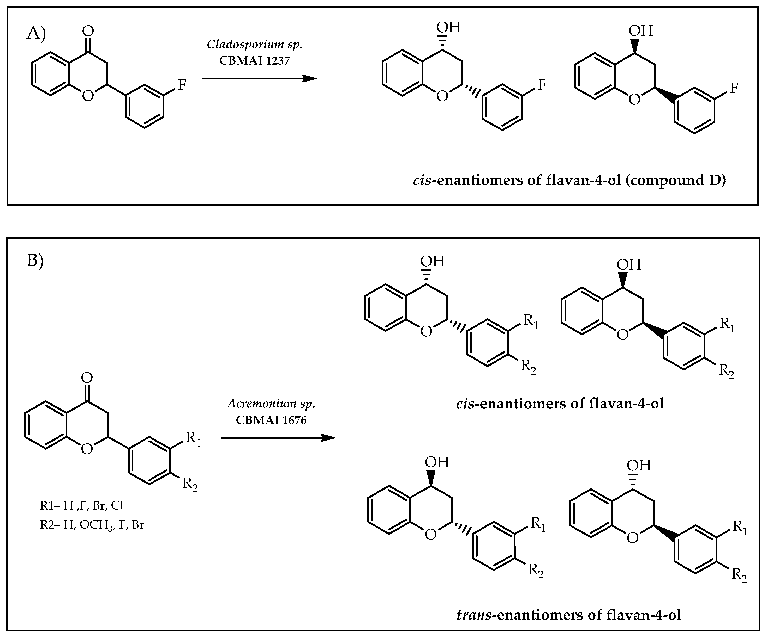 Molecules 28 00426 g028 Molecules 28 00426 g028