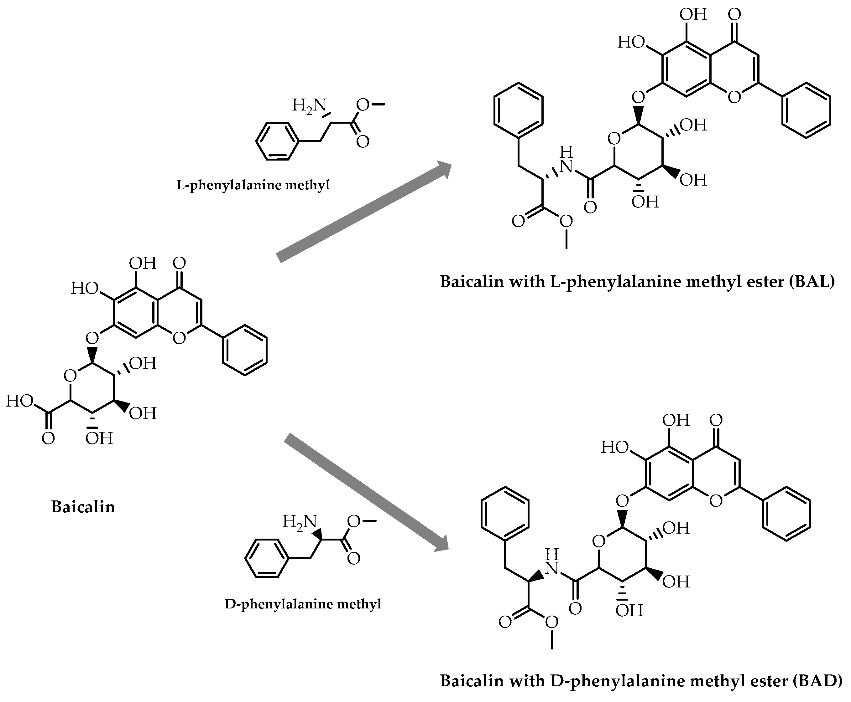 Molecules 28 00426 g033 Molecules 28 00426 g033