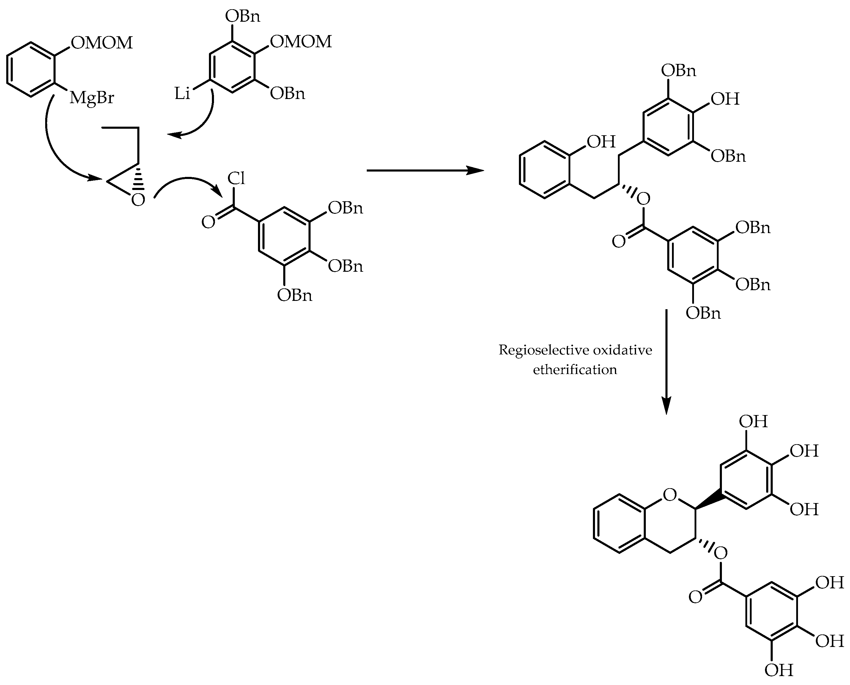 Molecules 28 00426 g034 Molecules 28 00426 g034