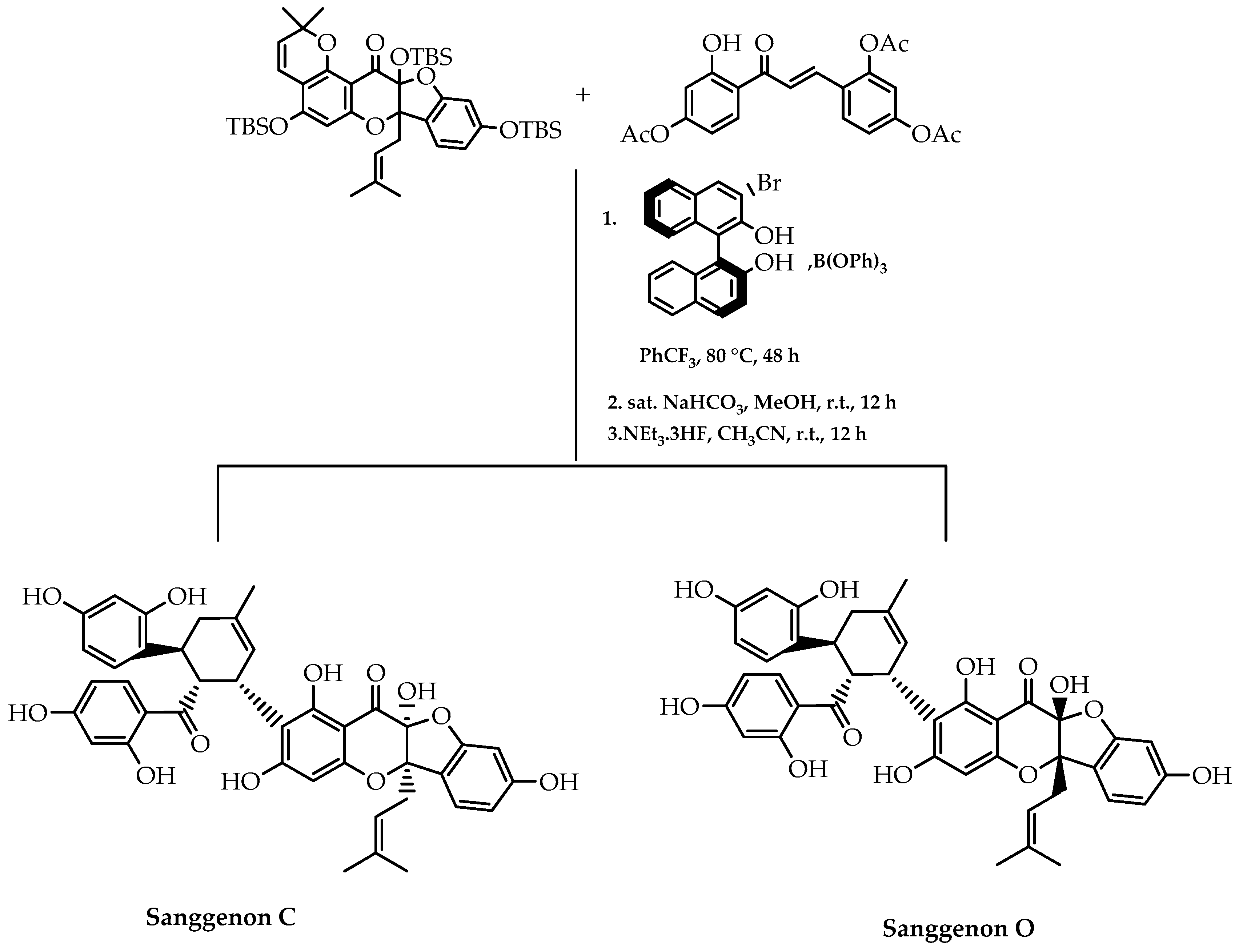 Molecules 28 00426 g037 Molecules 28 00426 g037