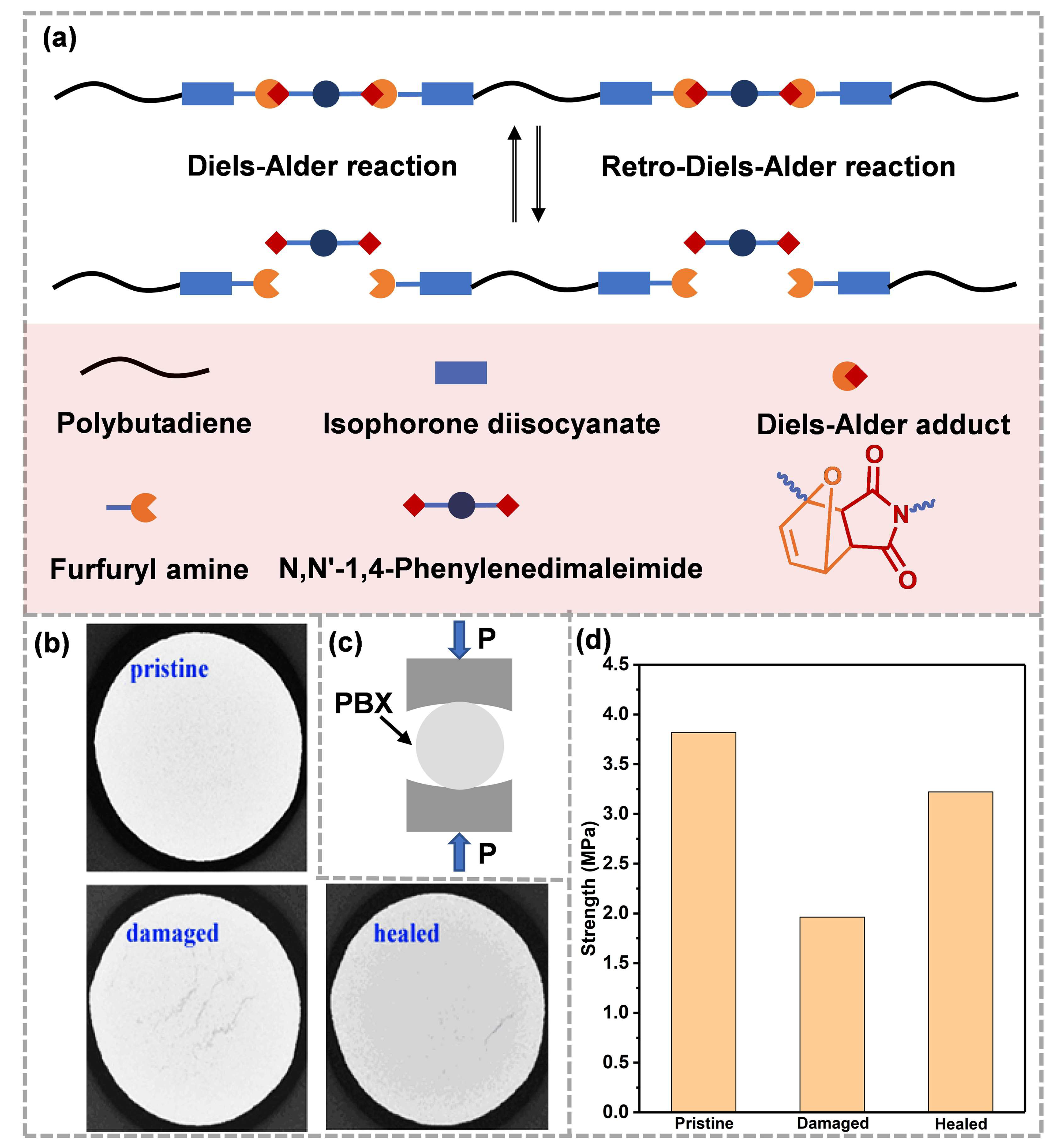 Molecules 28 00428 g003